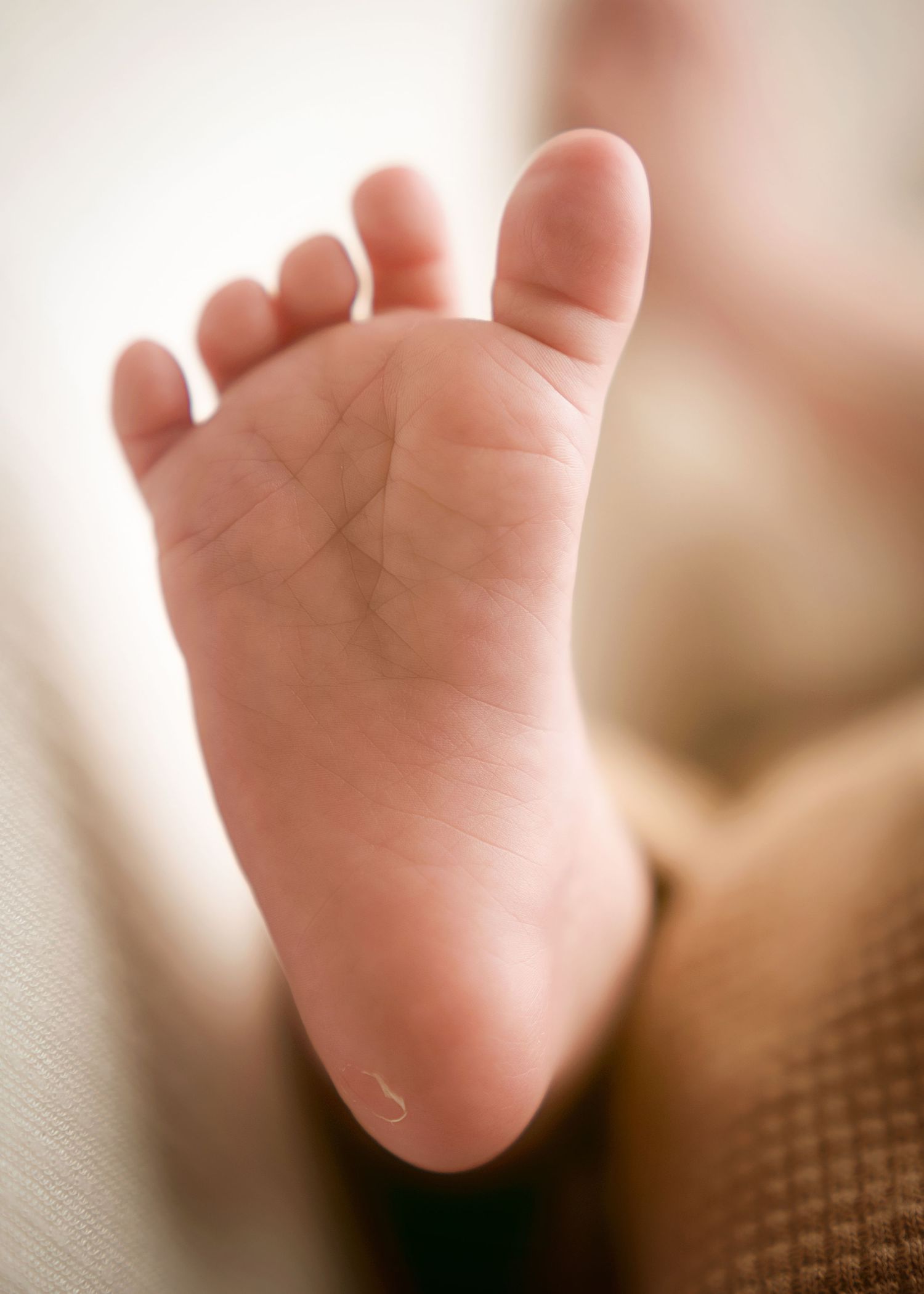 Close-up series of tiny newborn baby feet showing delicate details.