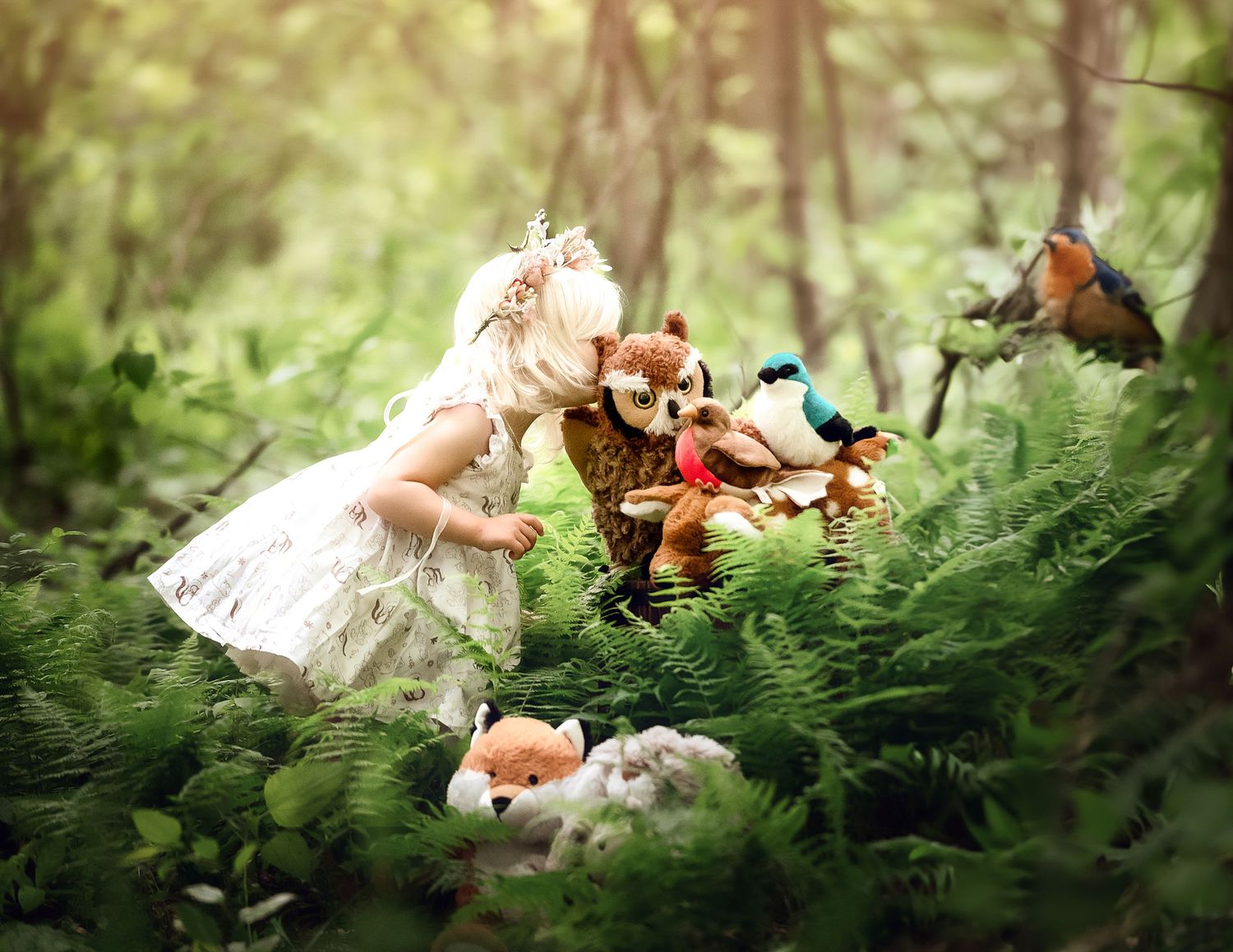 Enchanted garden scene with ferns and filtered sunlight through trees.