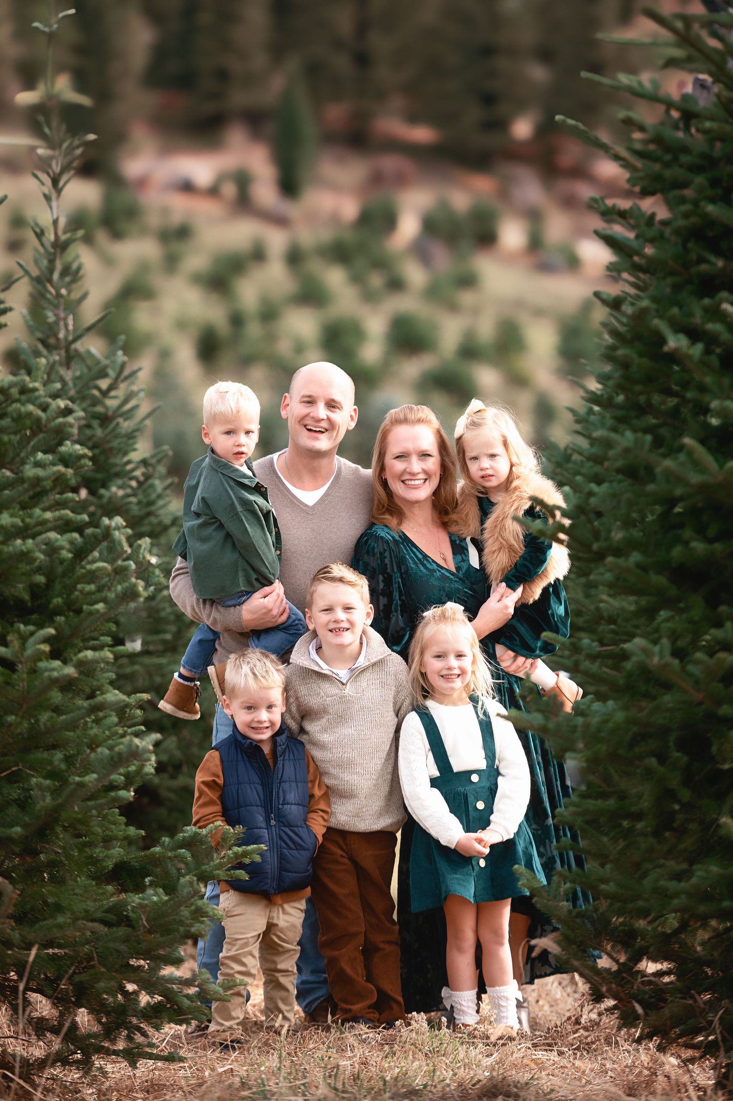 Group portrait among evergreen trees at a Christmas tree farm during a family photo session.