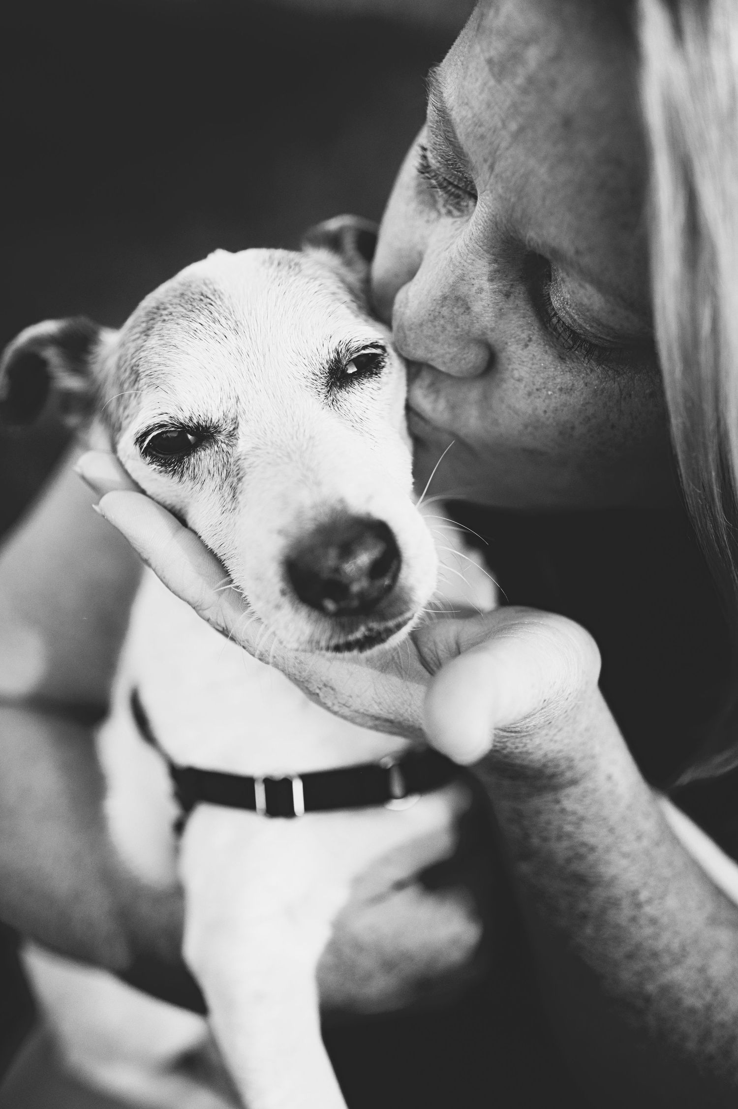 Black and white close-up photos of a small white dog being affectionate with its owner.