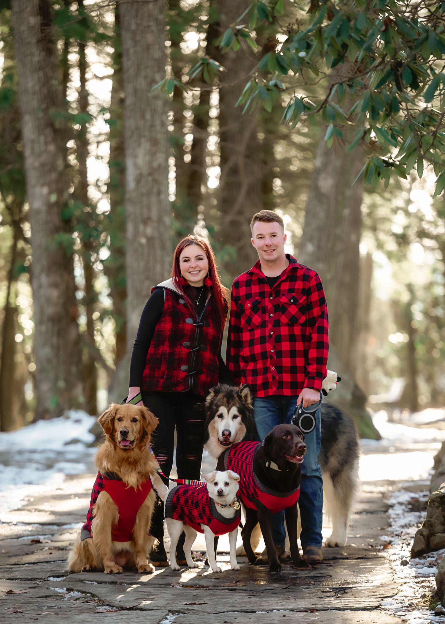 Family with three dogs posing in snowy forest wearing matching red buffalo plaid shirts.