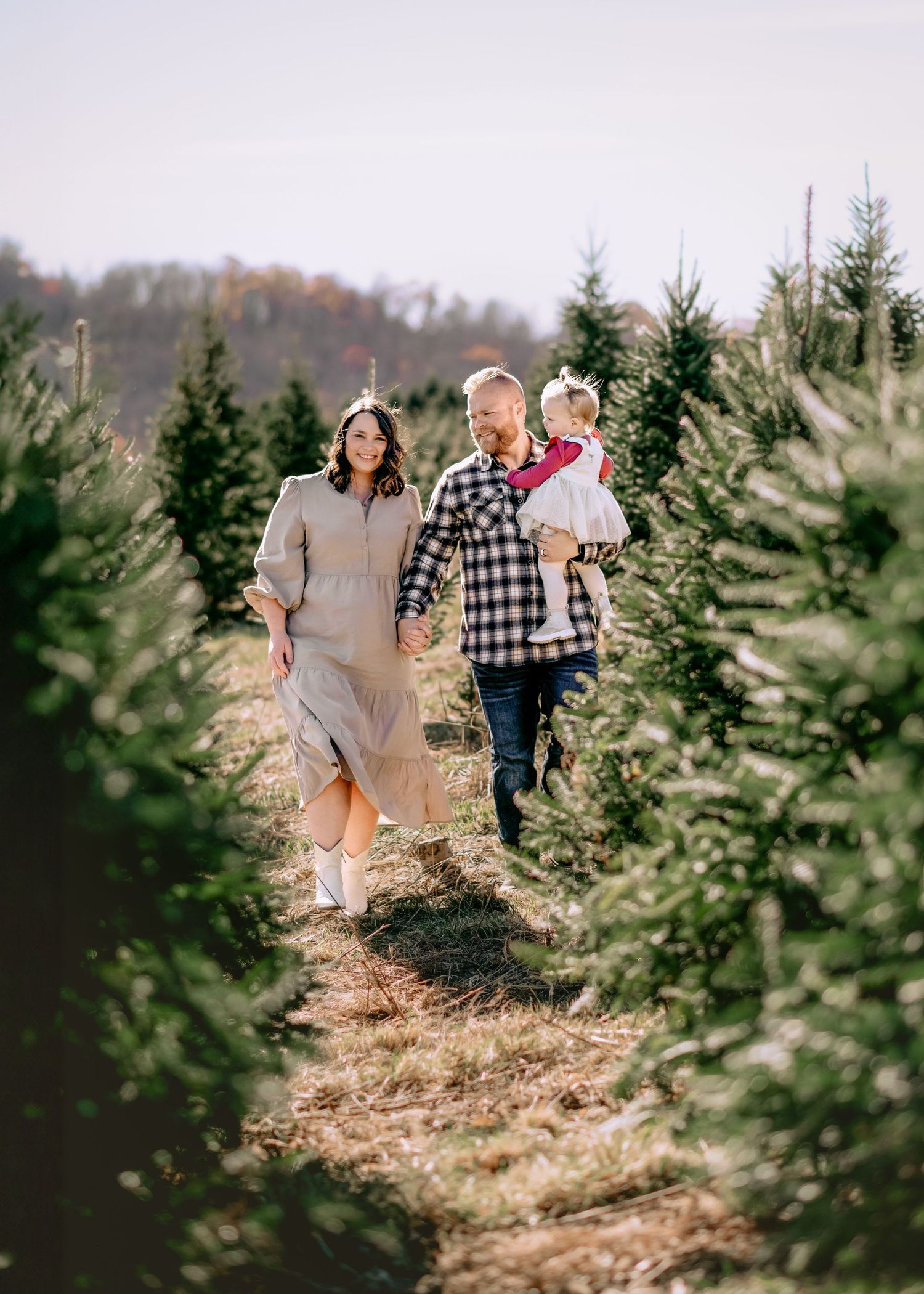 Group walking together through rows of evergreen trees at a Christmas tree farm.