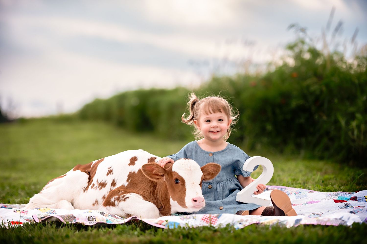 Children and a white pony relax together on a blanket in a sunny field.