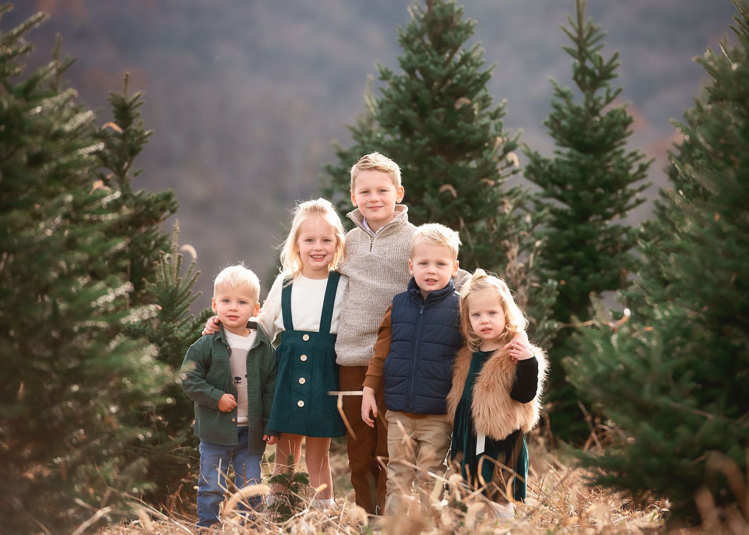 Family photo session captured at a Christmas tree farm with evergreens in the background.