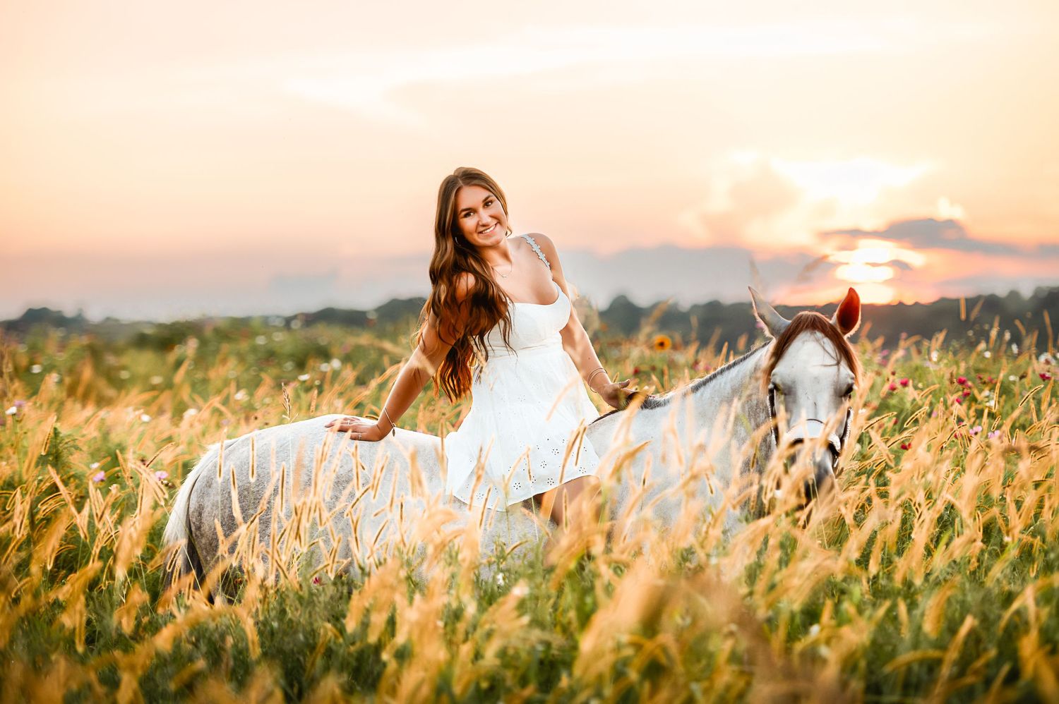 A dreamy sunset portrait with a white horse in a tall grass meadow.
