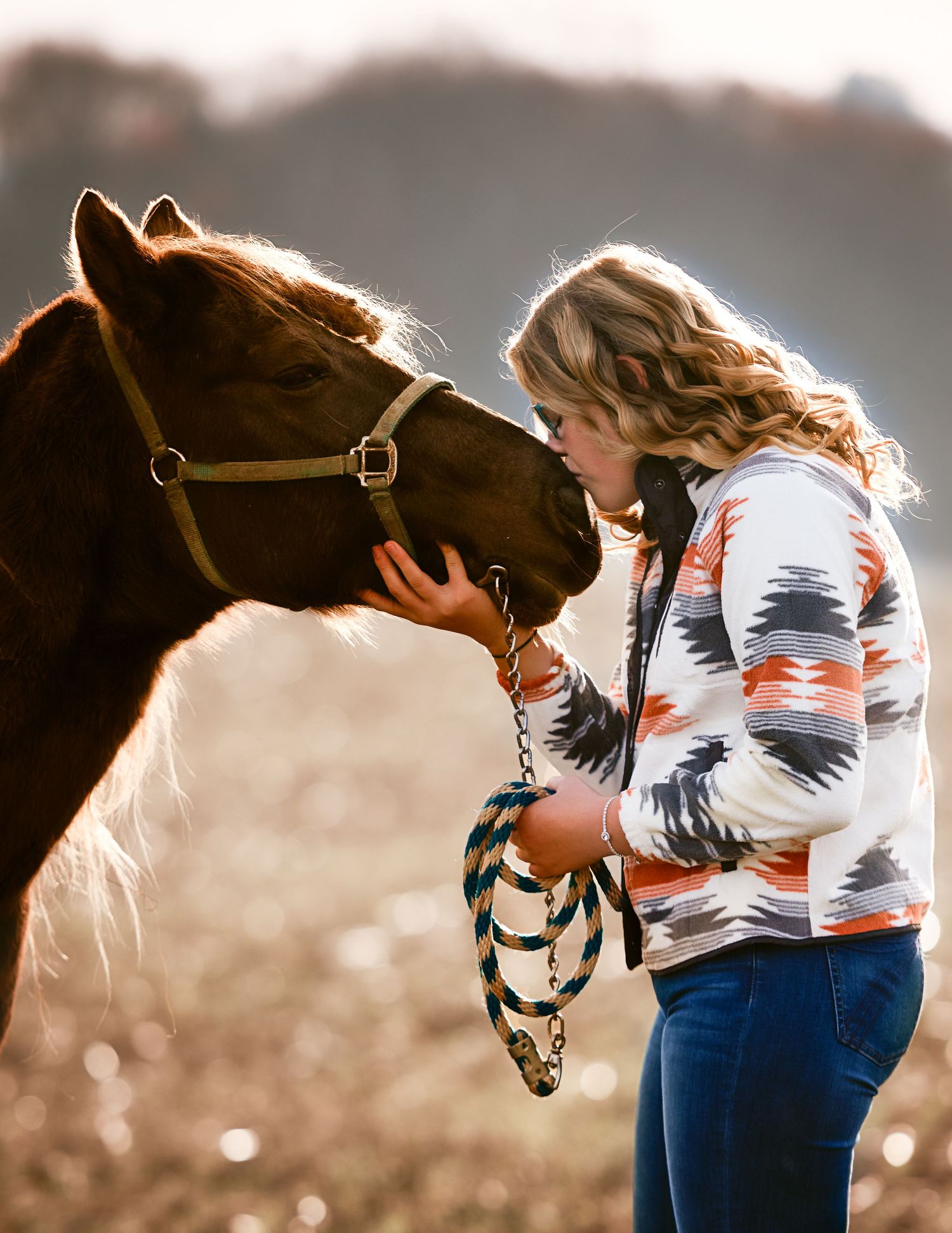 Close-up interaction with a brown horse wearing bridle against soft natural lighting.