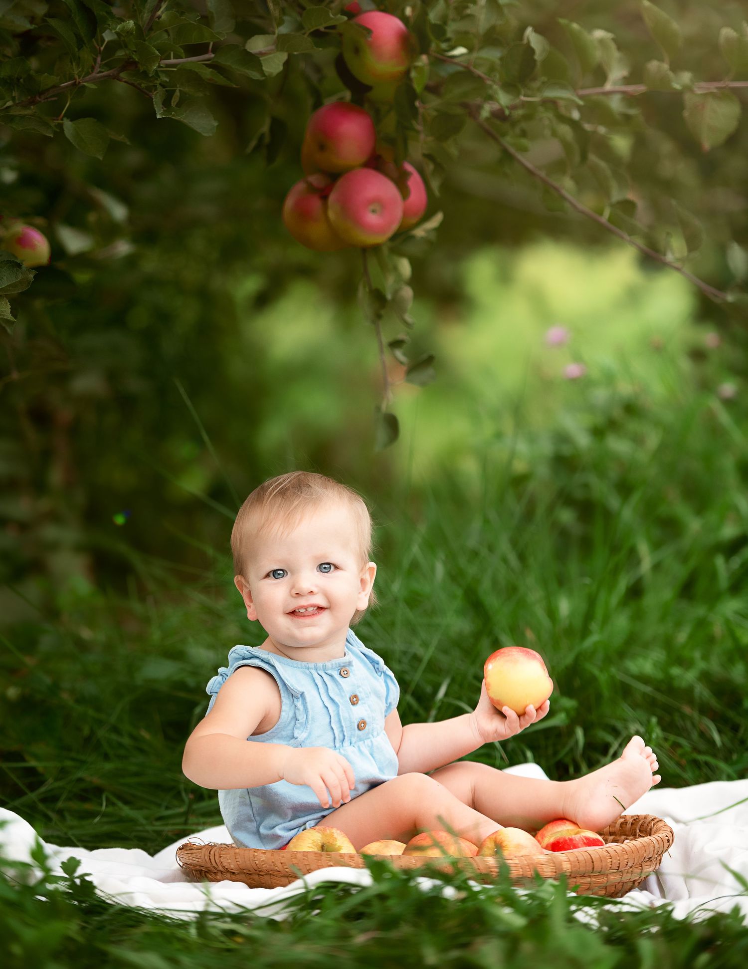 Baby in blue outfit sits on blanket with basket of apples in orchard setting.
