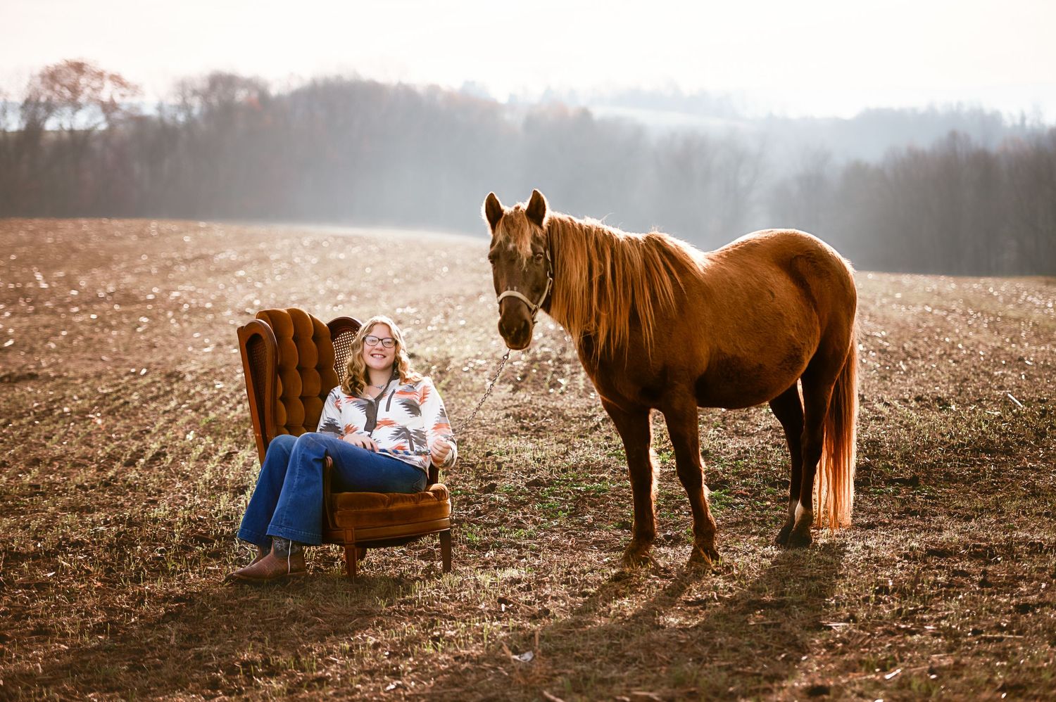 A brown horse stands in a field next to a vintage armchair in a dreamy outdoor setting.