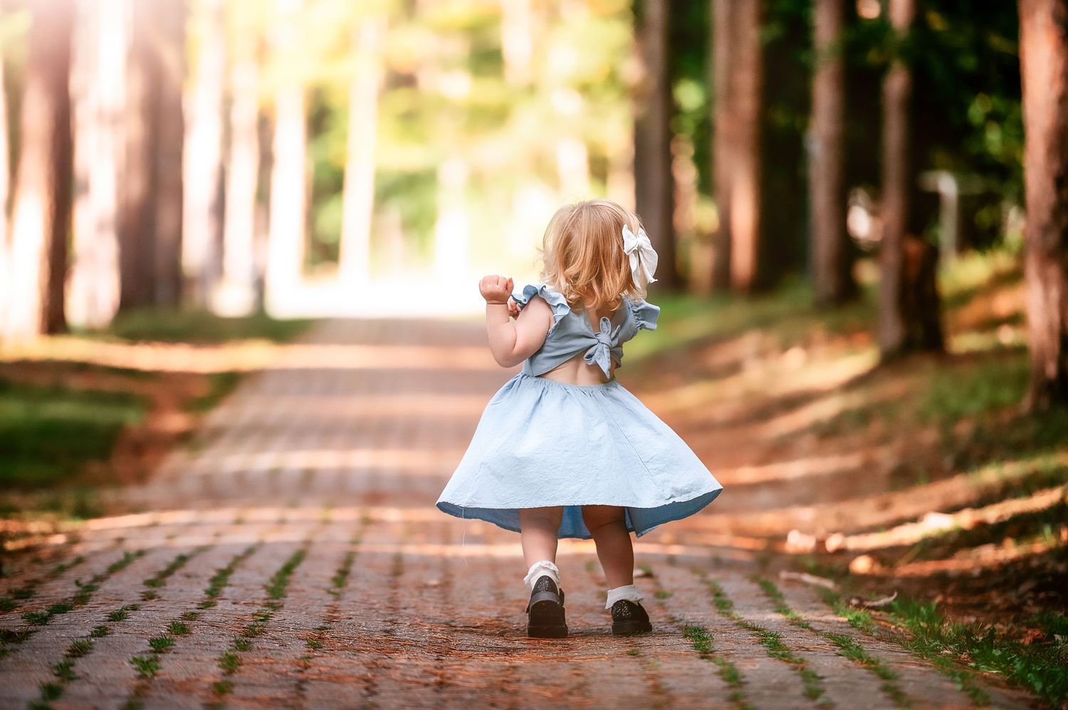 A person in a blue dress walks down a tree-lined brick path on a sunny autumn day.