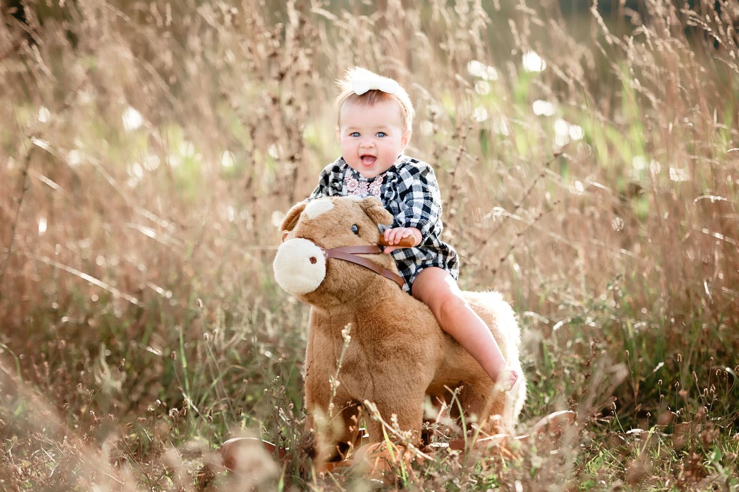 Natural outdoor photoshoot in tall grass with stuffed bunny toy.