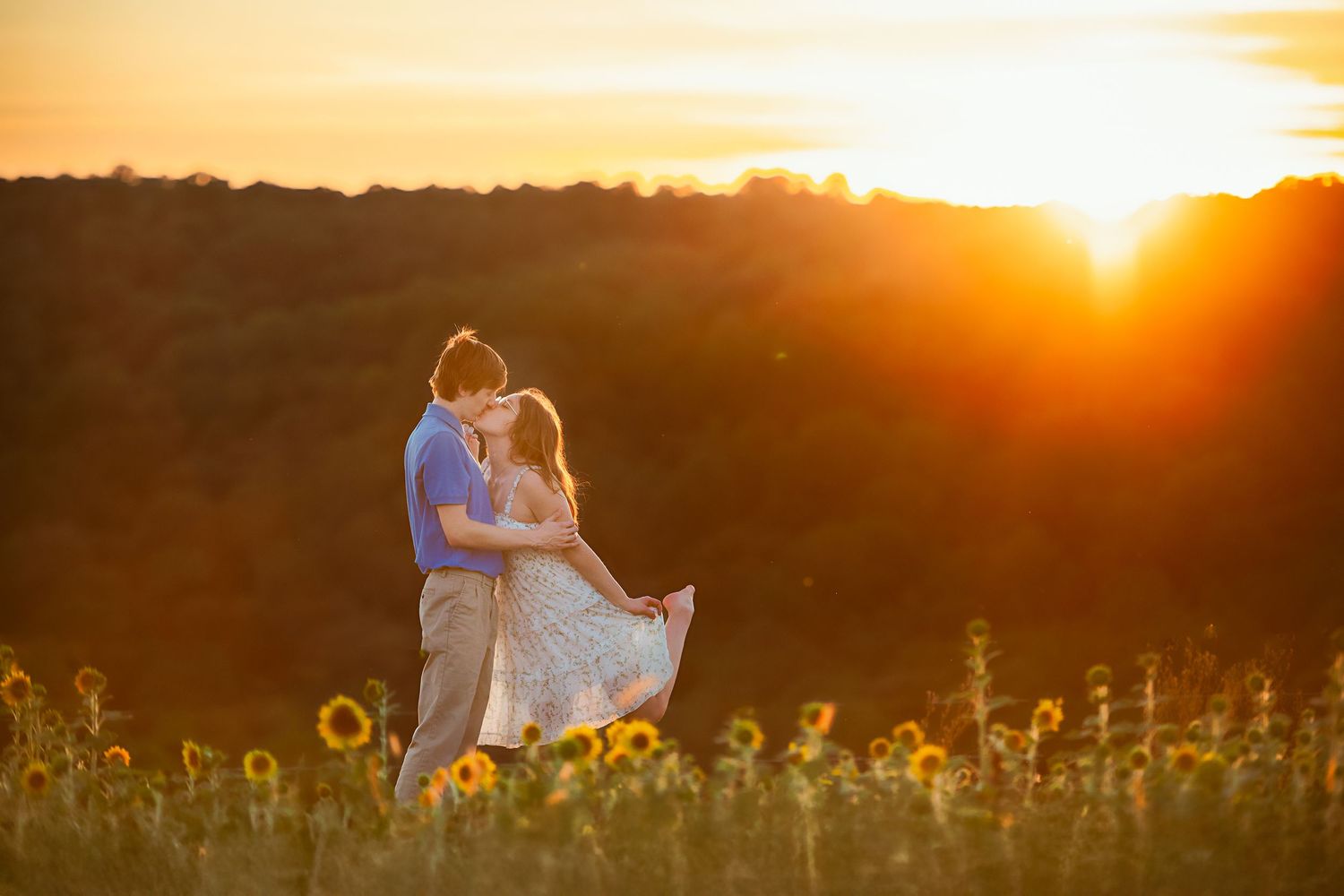 Silhouettes of sunflowers against dramatic orange sunset sky.