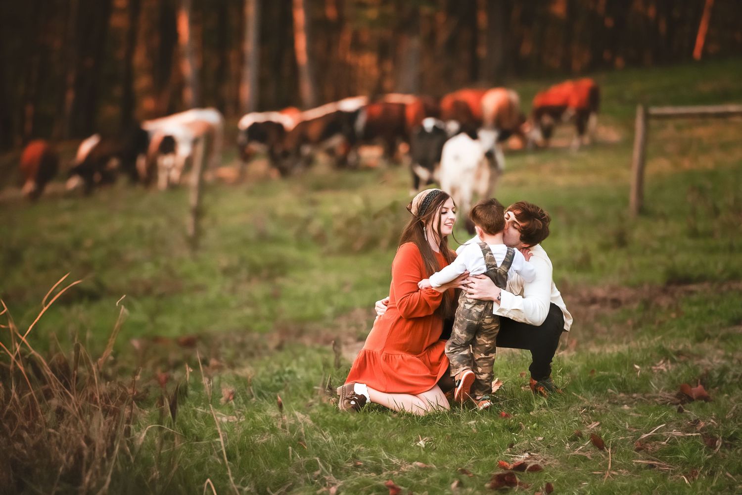 A playful moment captured in a field with horses grazing in the background.