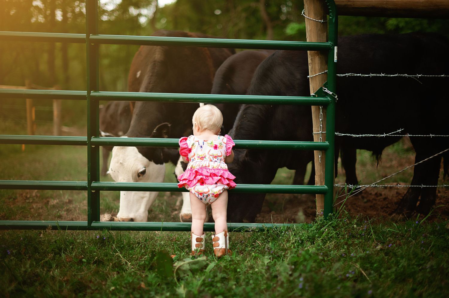 Child sitting on rustic fence during golden hour photography session.