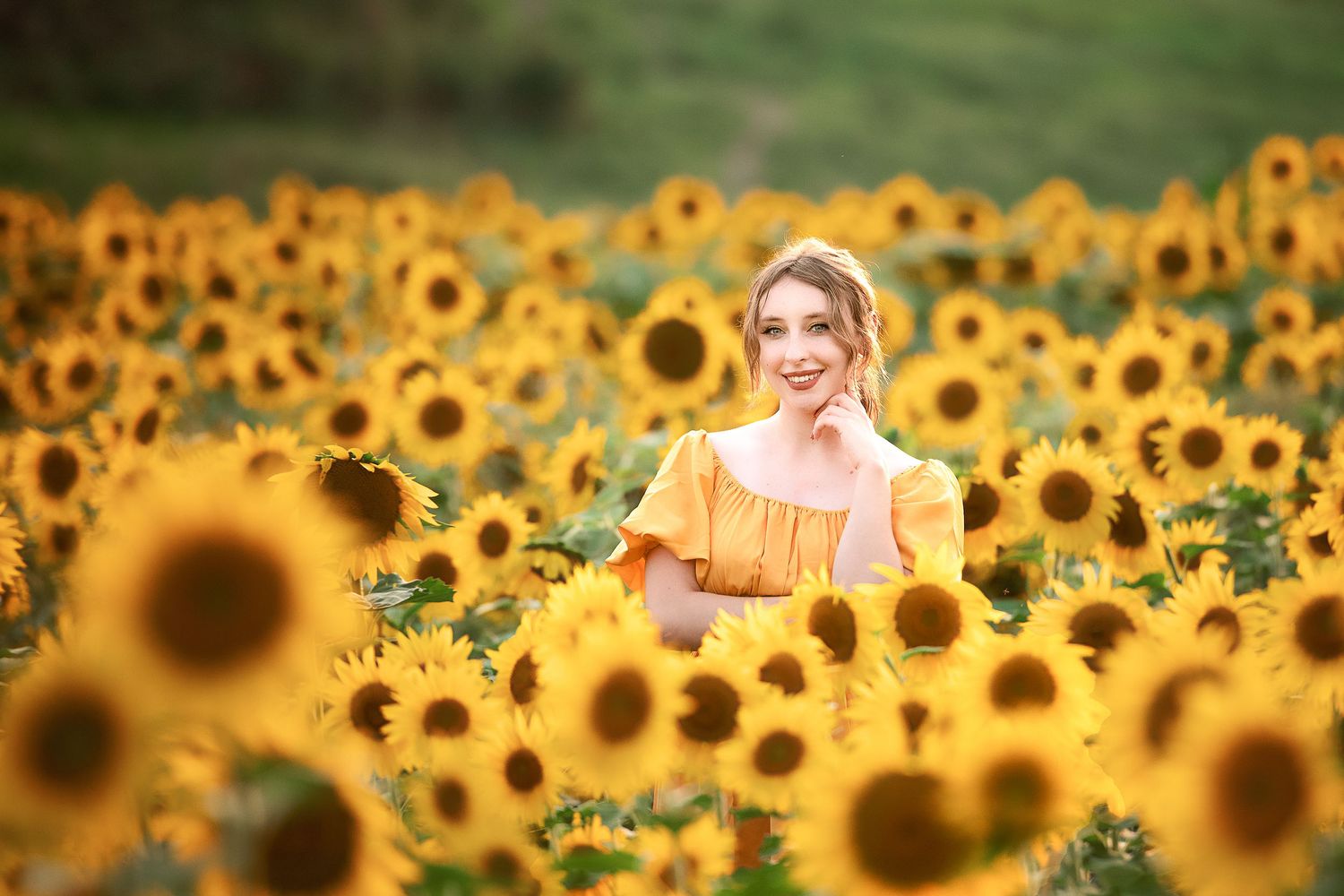 A vibrant field of blooming sunflowers stretches across the horizon during golden hour.