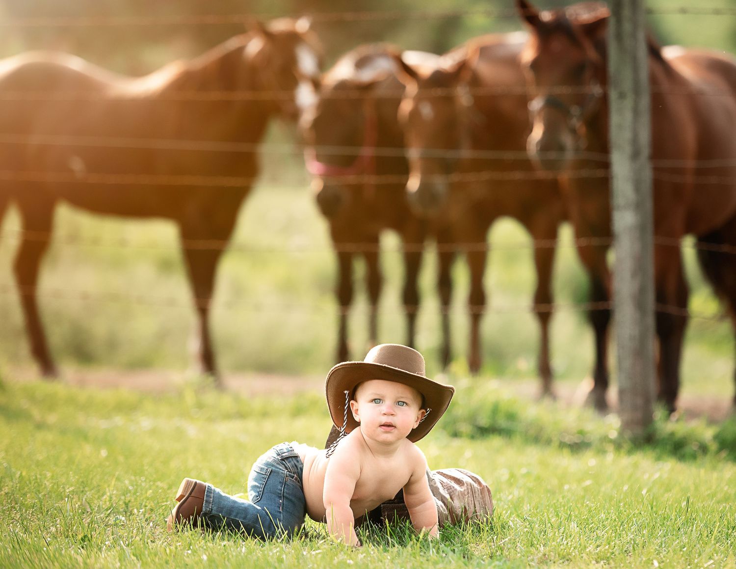 Rustic outdoor scene with horses grazing in background and cowboy hat in foreground.