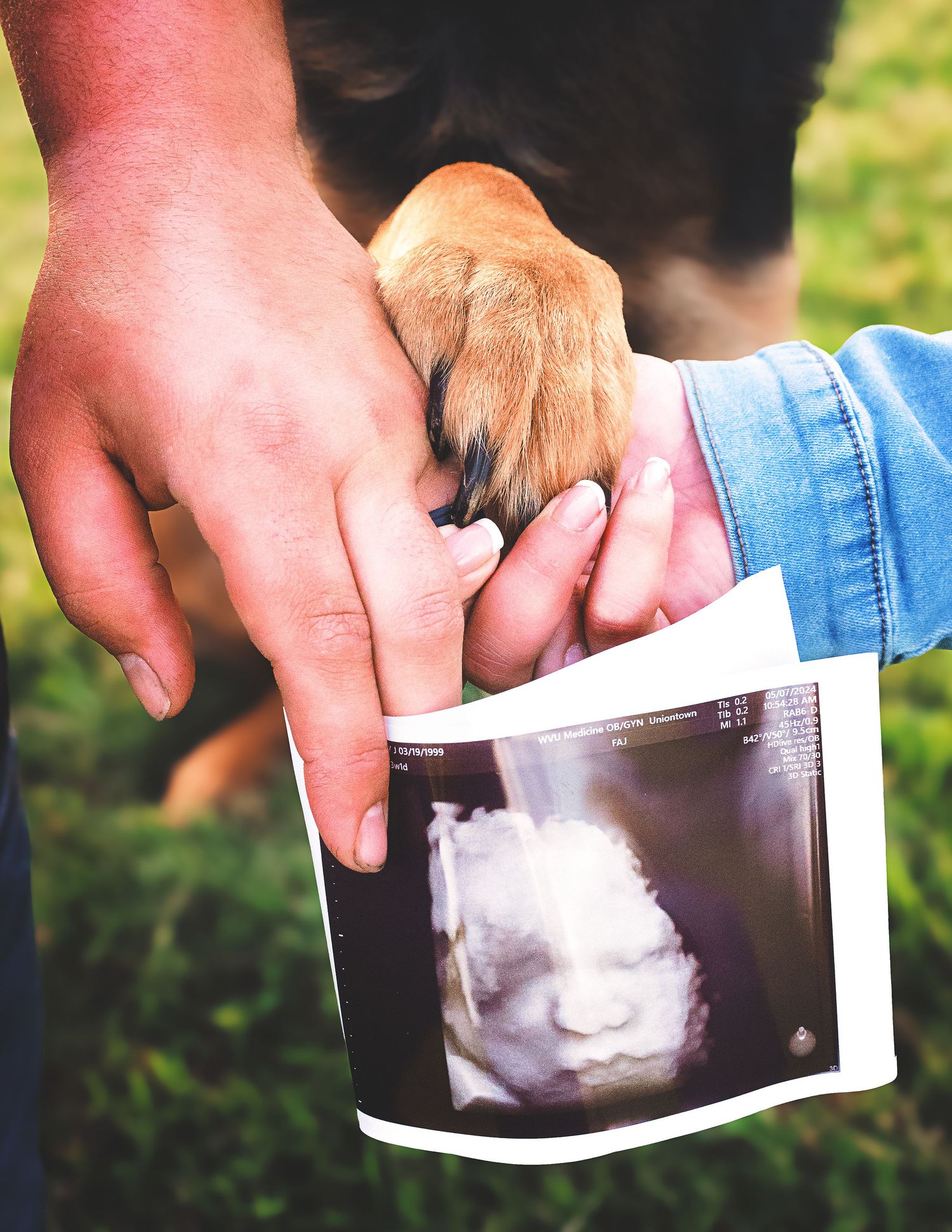 Hands holding ultrasound photos against natural outdoor background showing pregnancy announcement.