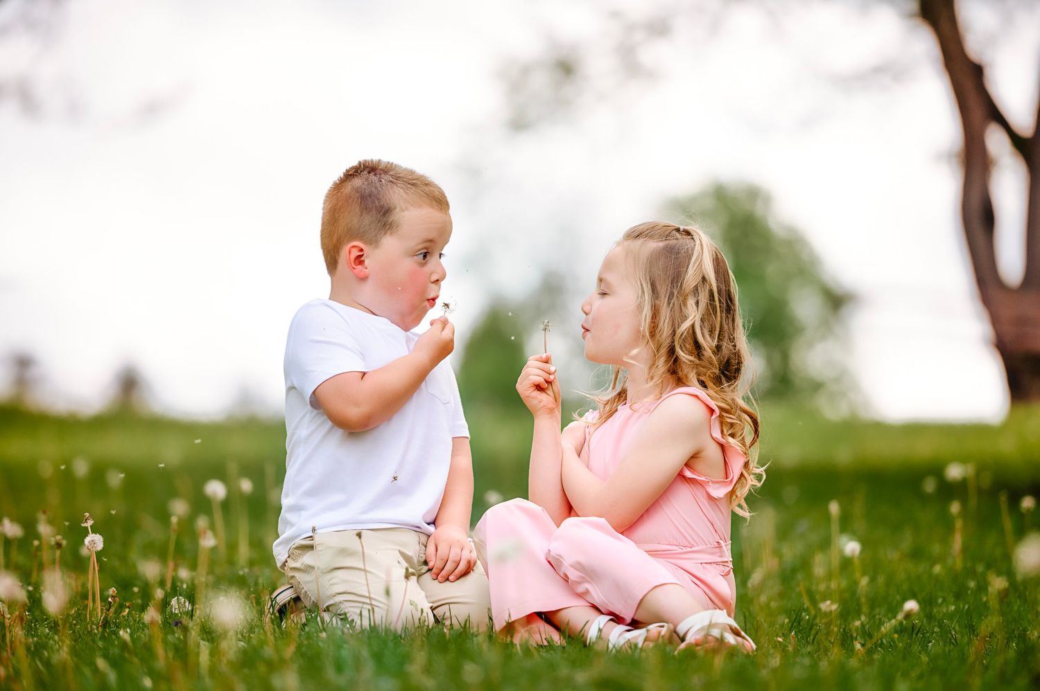 Children playing together in a sunny meadow with wildflowers.