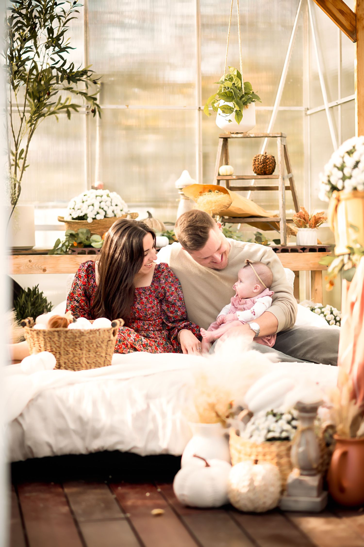 A cozy greenhouse interior with hanging plants and soft cushions in warm natural light.