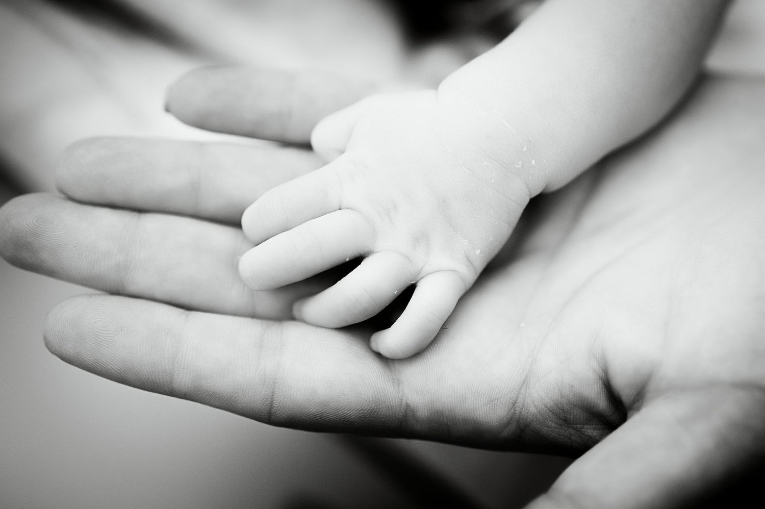Gentle black and white image of hands touching in soft light.