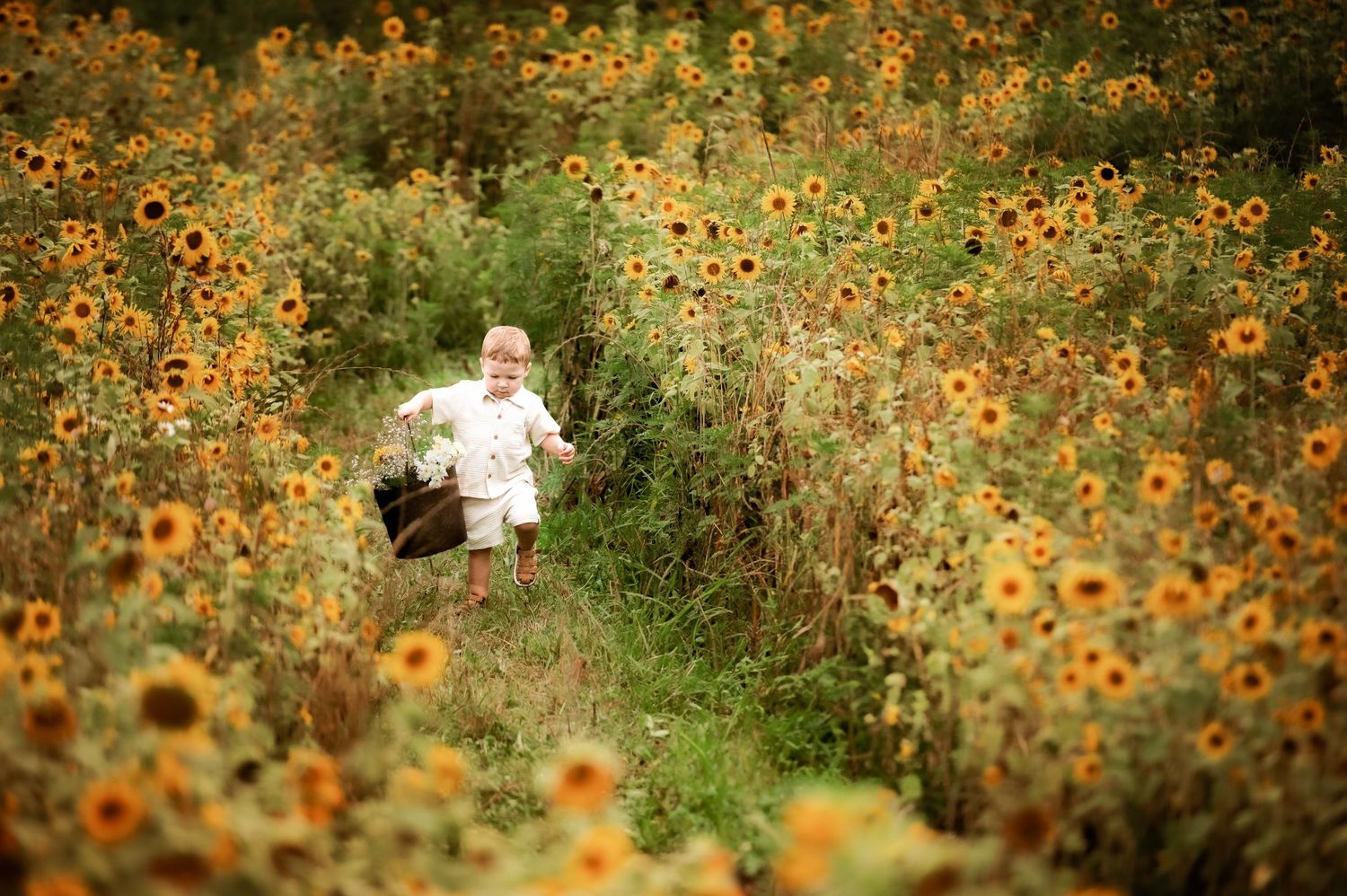 A person walks through a vibrant field of blooming orange wildflowers on a sunny summer day.