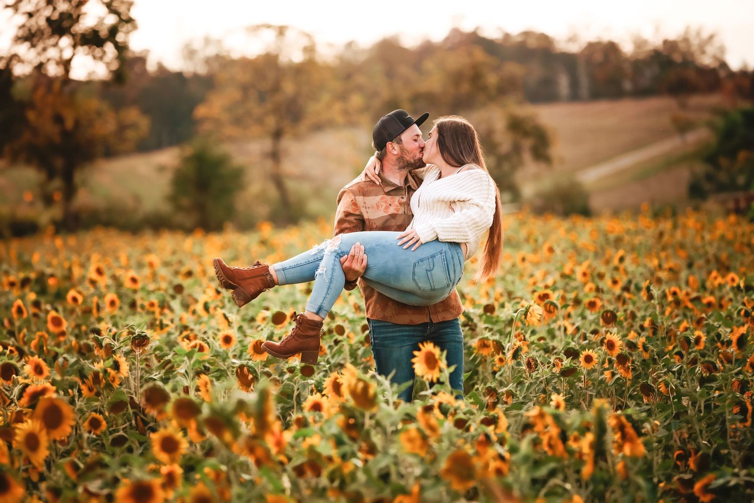 Beautiful sunflower field at sunset with golden light streaming through the blooms.