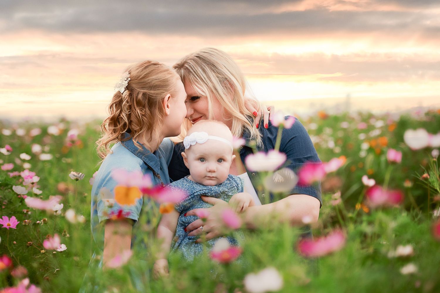 Dreamy sunset scene in a wildflower field with pink cosmos flowers.