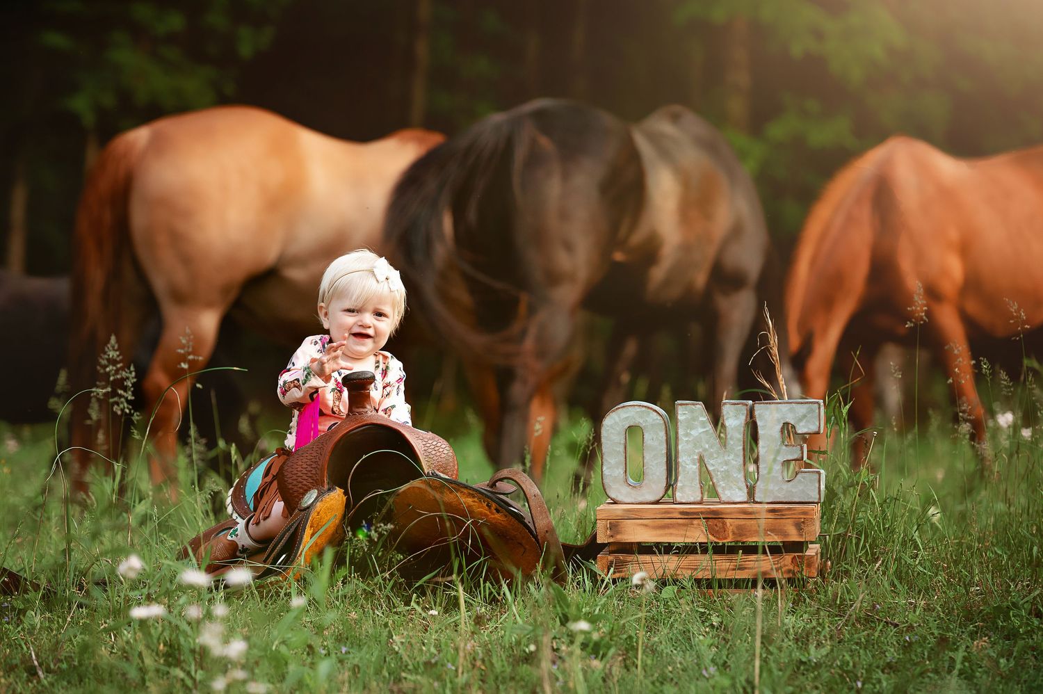 Baby milestone photo session with horses grazing in background.