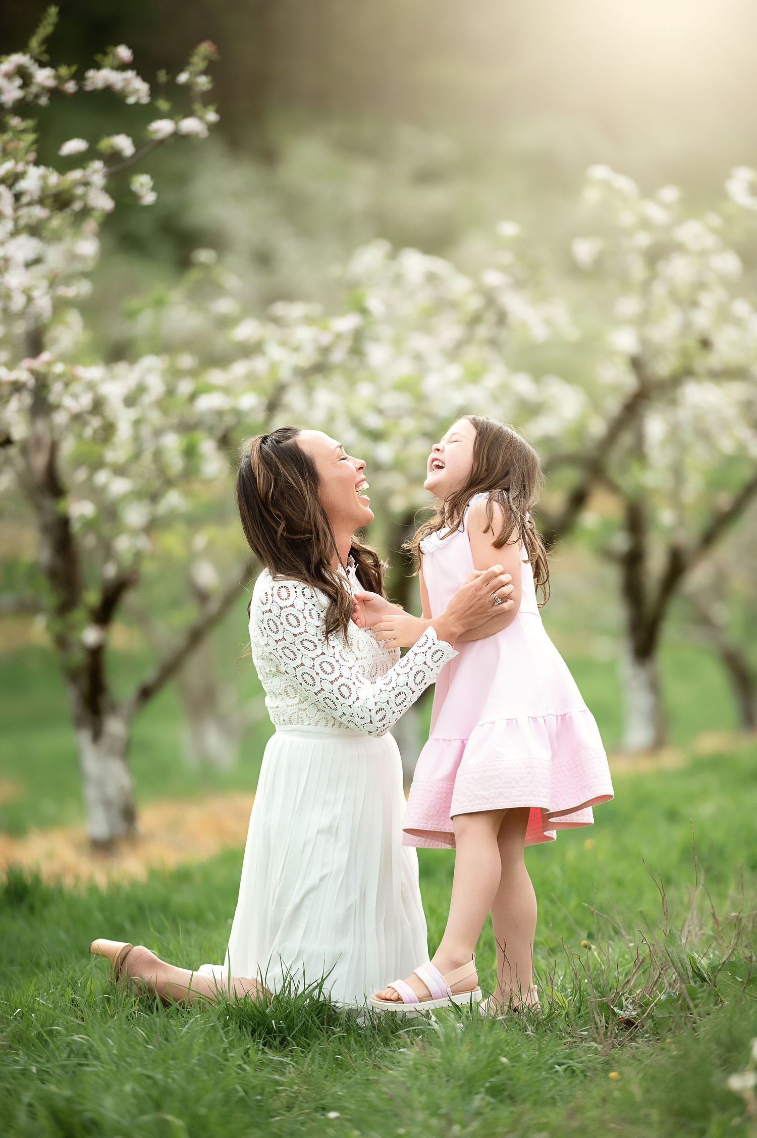 Spring scene in blooming apple orchard with white blossoms.