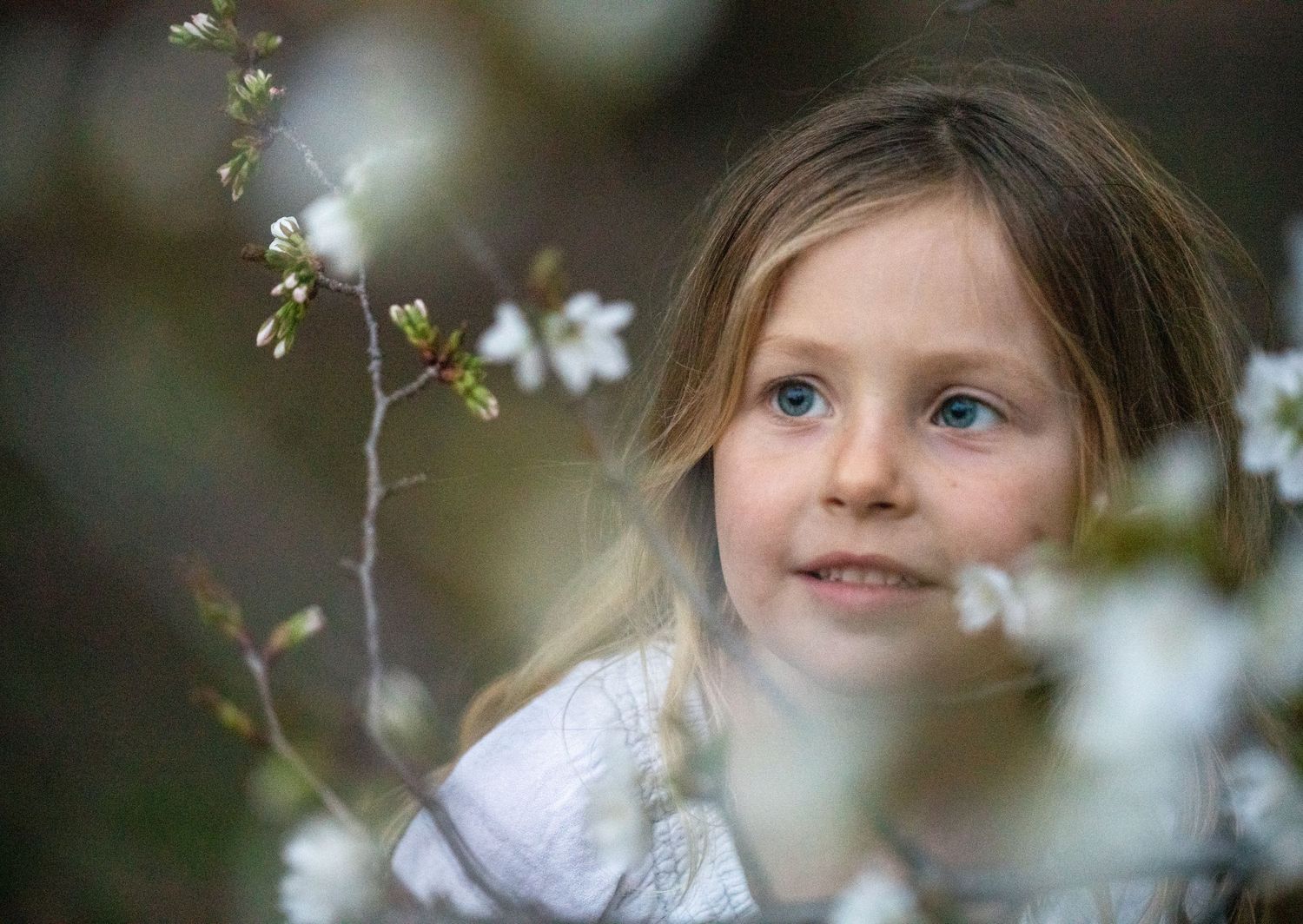 Ethereal spring portrait framed by delicate white blossoms.