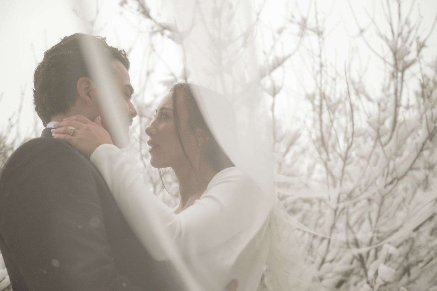 A bride and groom share a romantic winter moment, framed by snow-covered trees in a dreamy, soft-lit wedding photo.