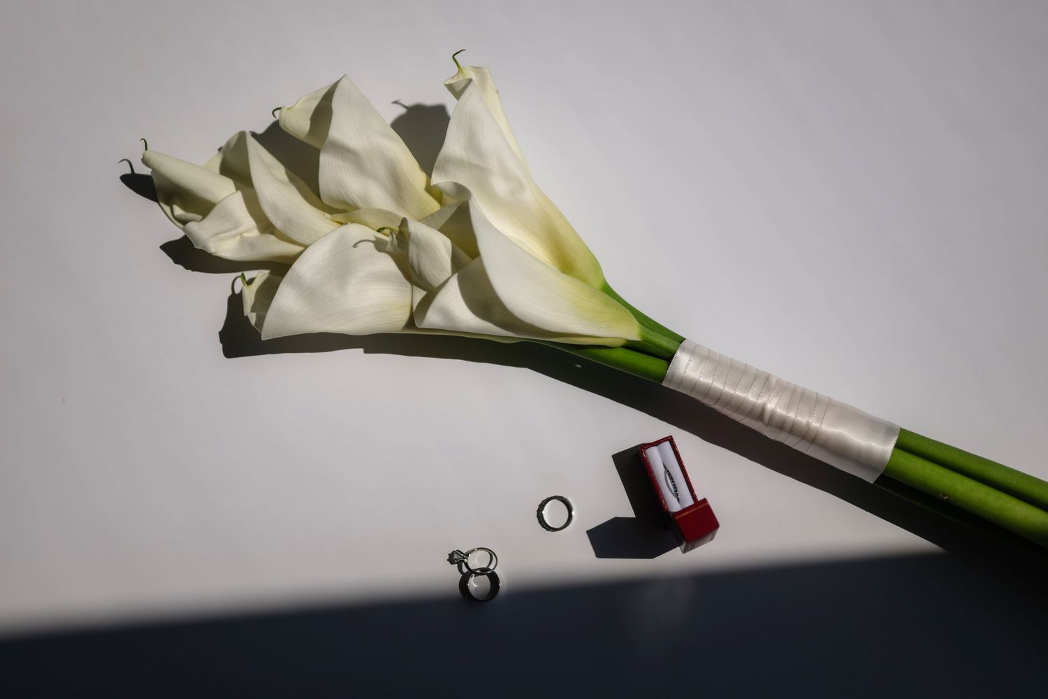 A close-up image of a white flower with a green stem and leaves.
