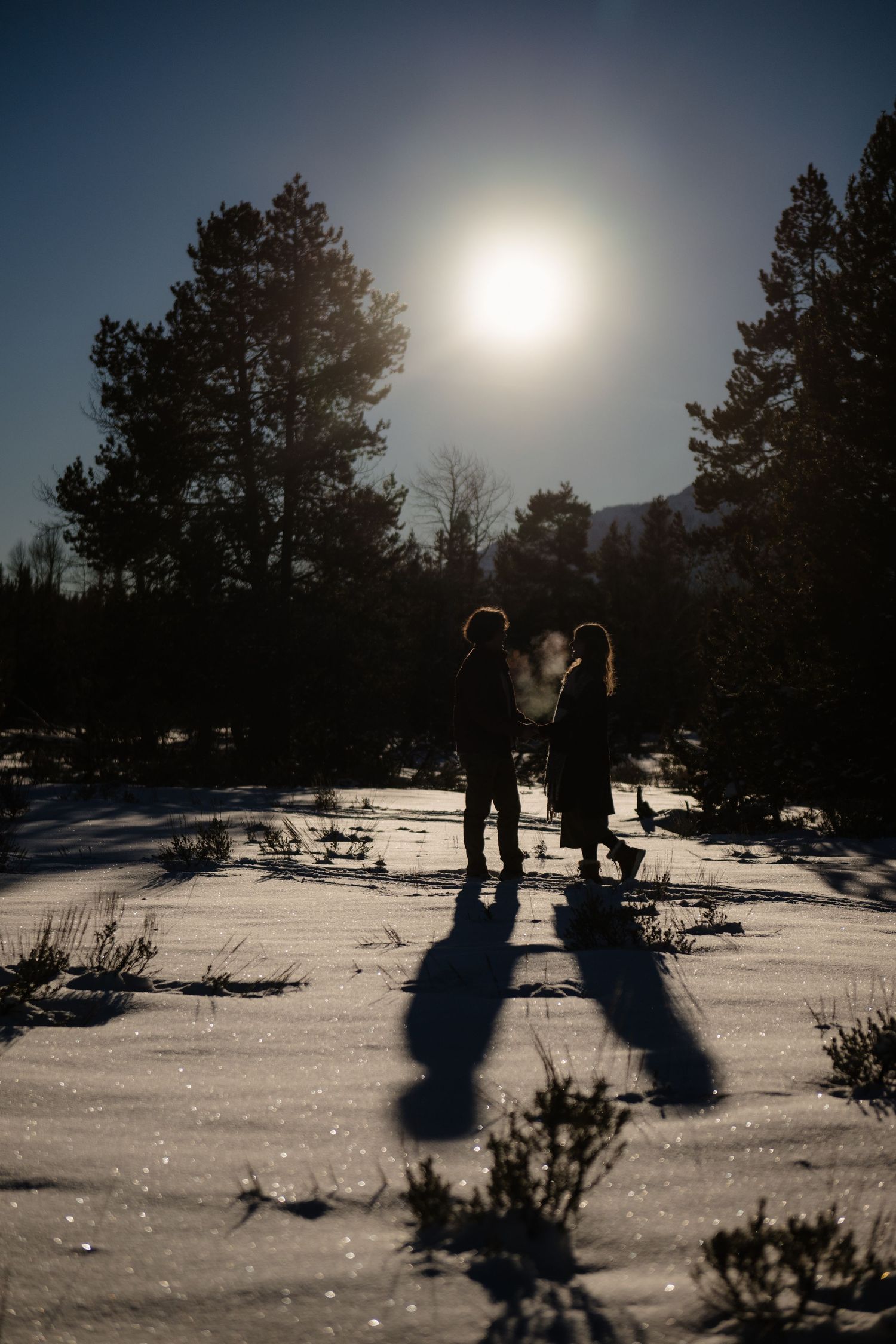 Two silhouetted figures stand on a snowy landscape backlit by a bright winter sun with pine trees behind.