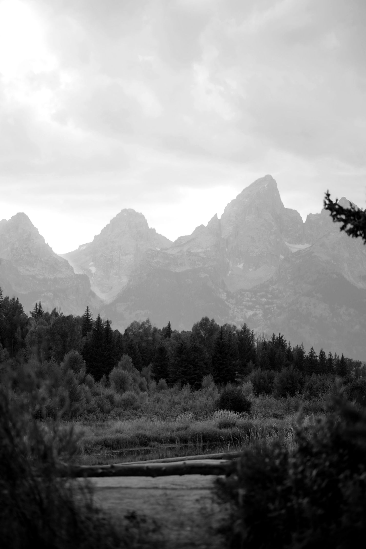 Black and white landscape photo of jagged mountain peaks rising above dense pine forest under cloudy sky.