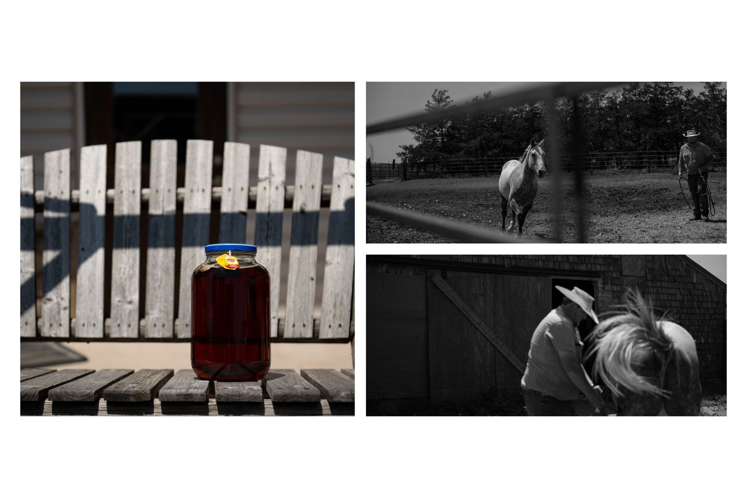 A triptych of farm life showing a red jug on a white fence, a horse in a field, and a black-and-white photo of a horse in a barn.