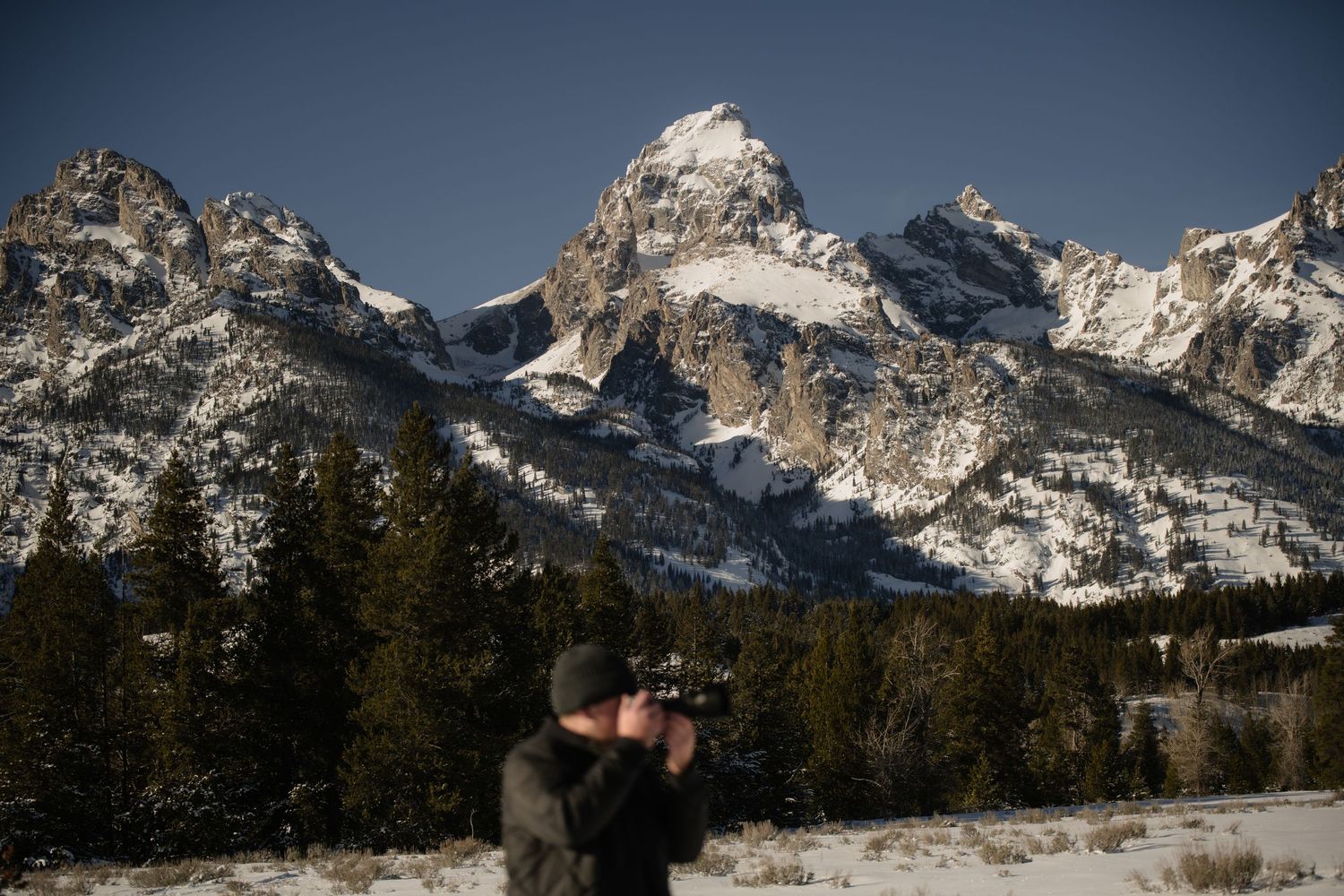 Photographer capturing snow-capped Grand Teton mountains with pine trees under a clear blue sky in Wyoming.