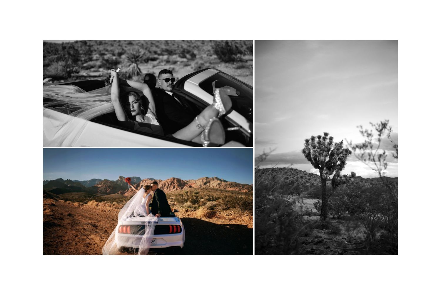Bride and Groom posing in convertible car in desert landscape, wedding photos collage with Joshua tree and red rock canyon inLas Vegas