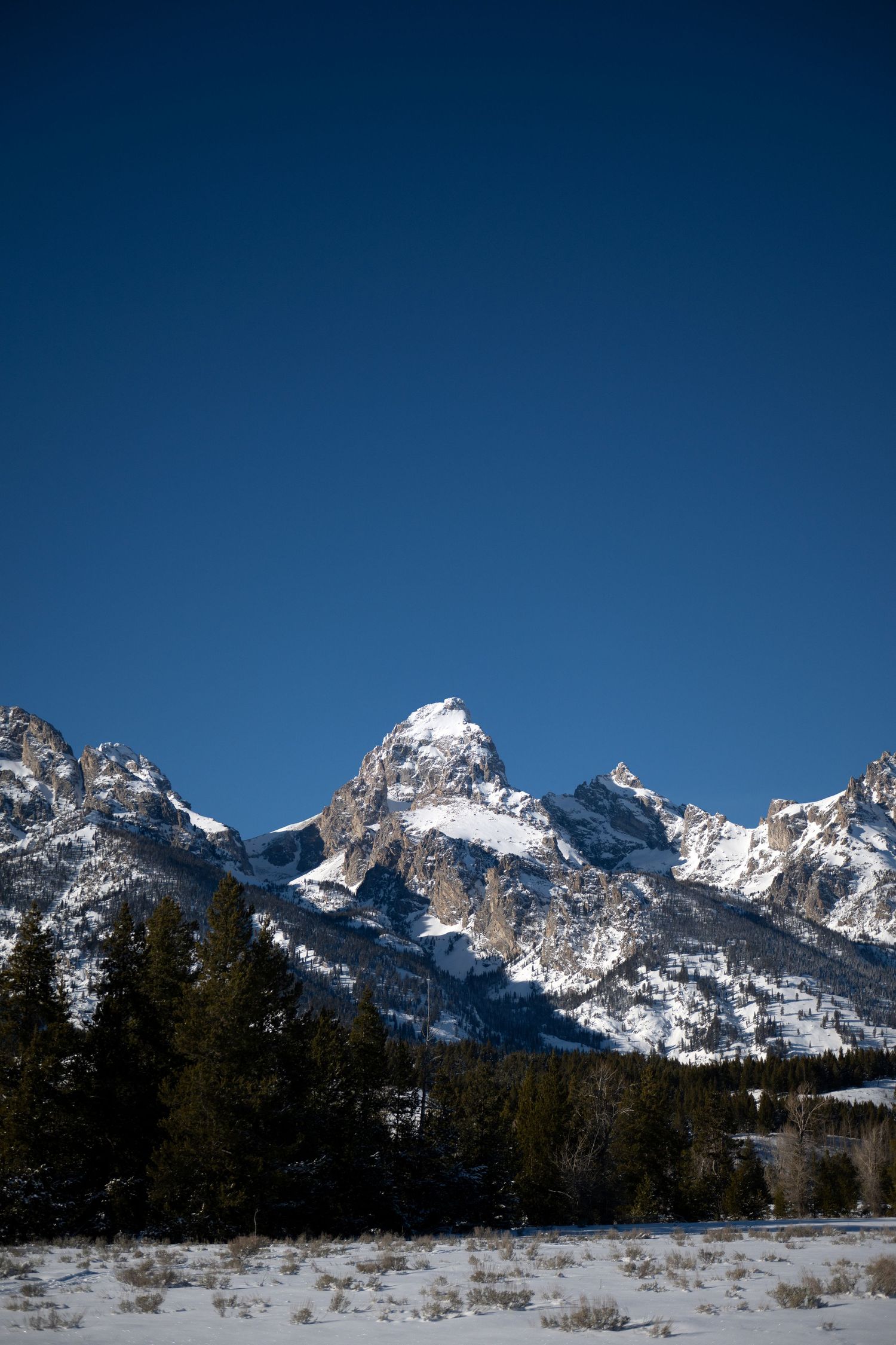 Snow-capped Grand Teton peaks rise above evergreen trees under a clear deep blue winter sky.