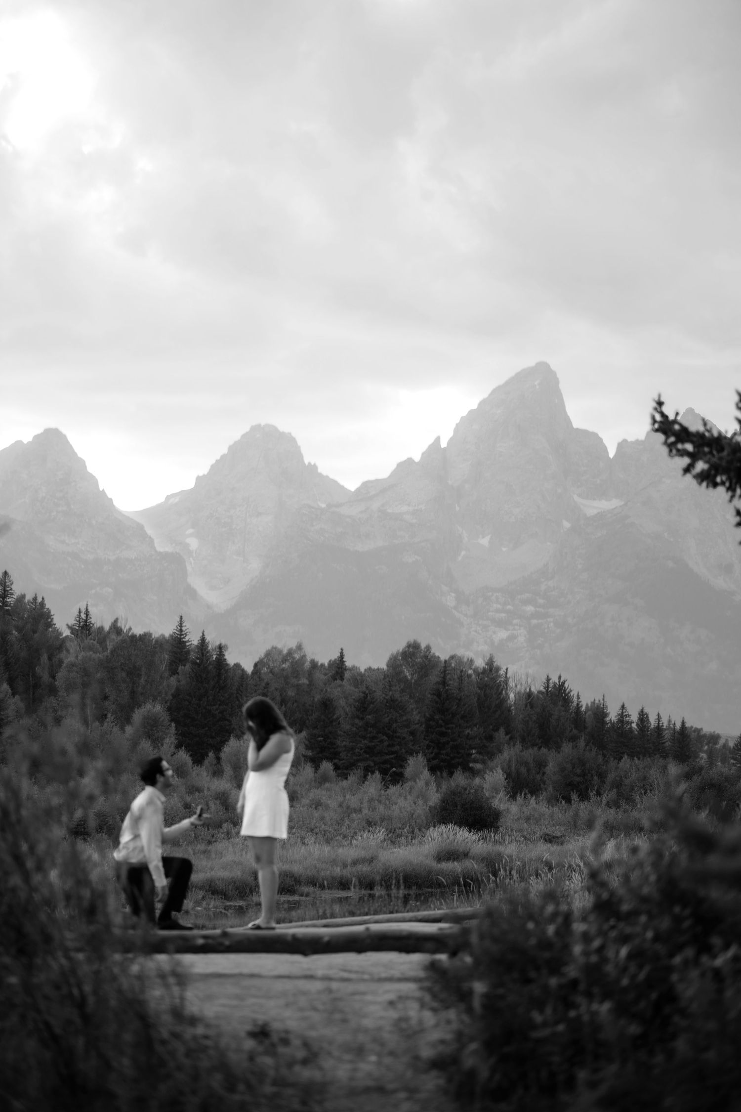 A black and white image of a mountainous landscape with a forest in the foreground.