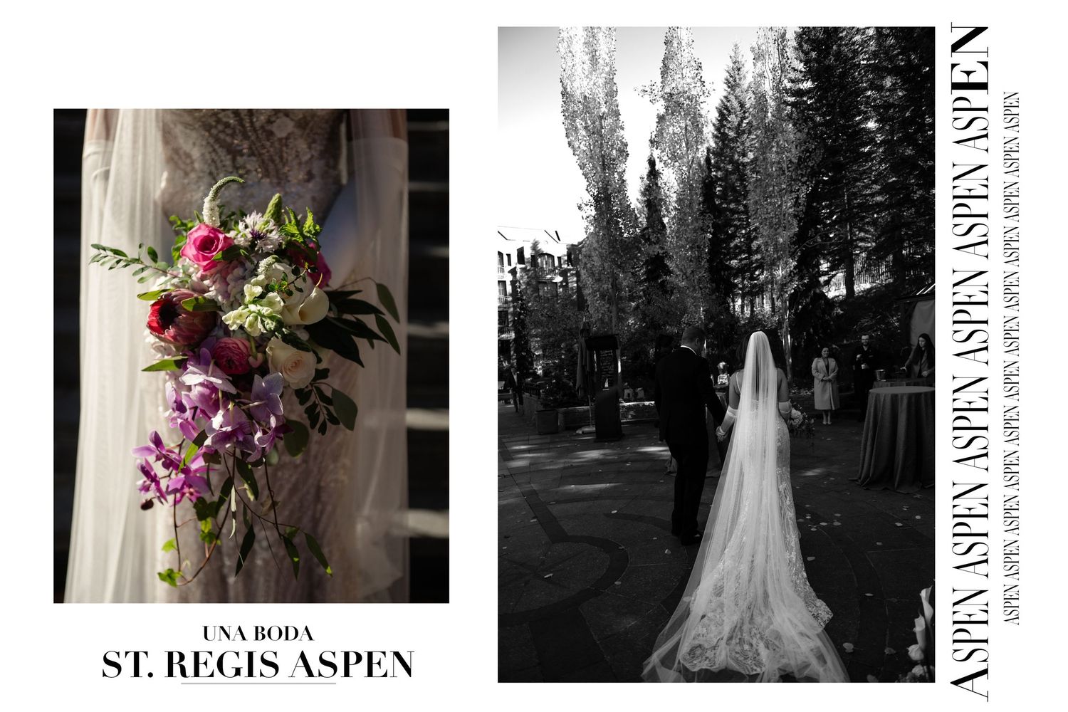 Elegant St. Regis Aspen wedding with bridal bouquet of purple orchids and a bride in a flowing gown with cathedral veil.