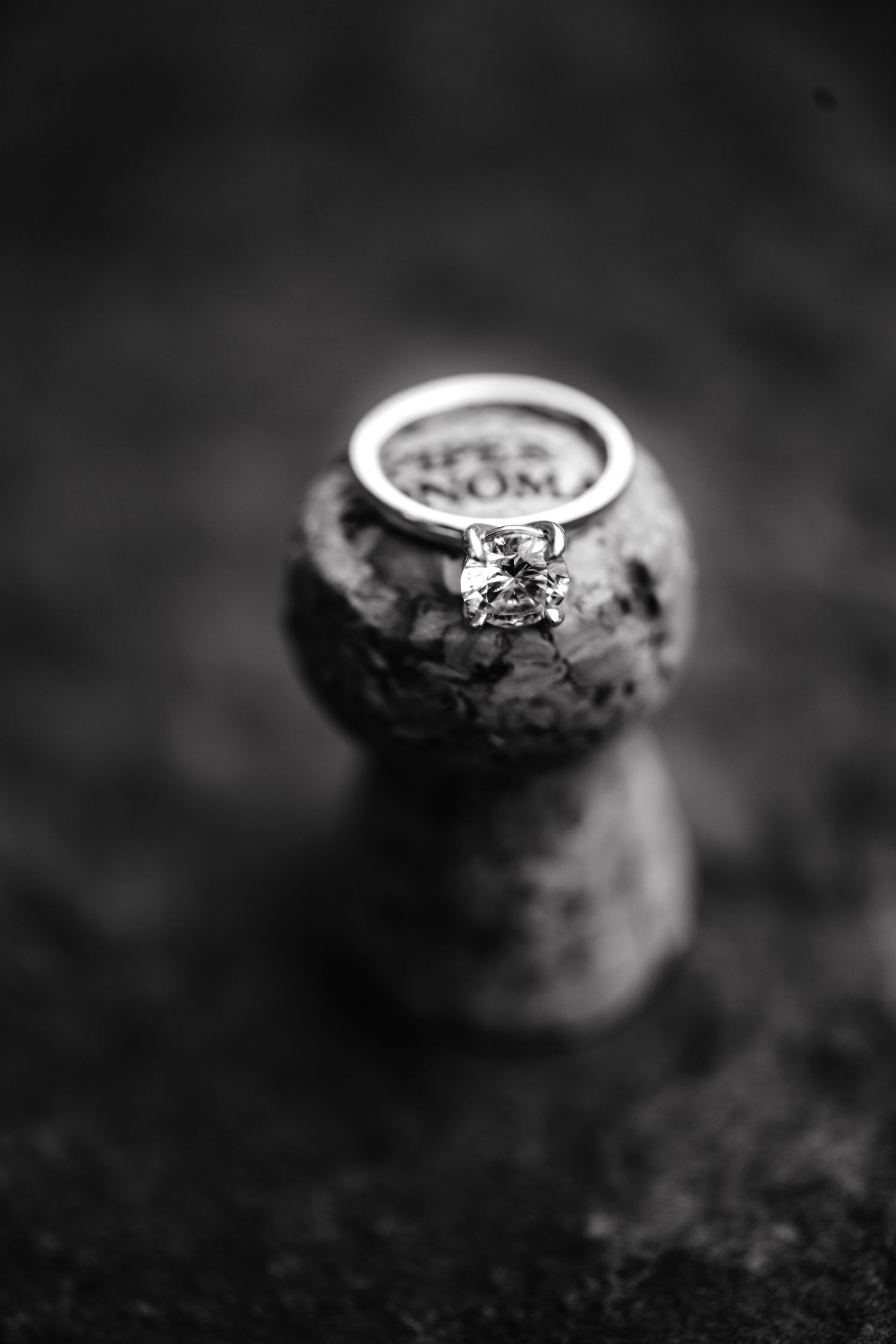 Story-driven wedding and elopement photography in Jackson Hole and beyond. Pine & Palm captures real moments, wild landscapes, and the love