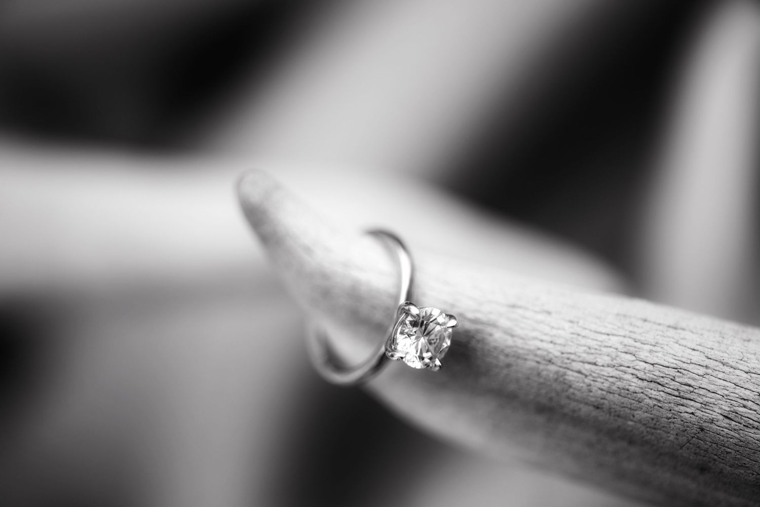 Black and white photo of a diamond solitaire engagement ring resting on a wooden branch.
