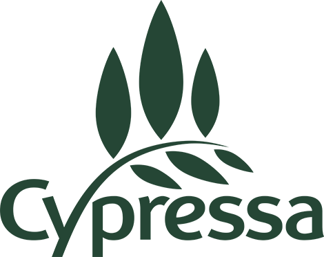 Green cypress tree logo designs in different minimalist shapes and styles arranged in a row.