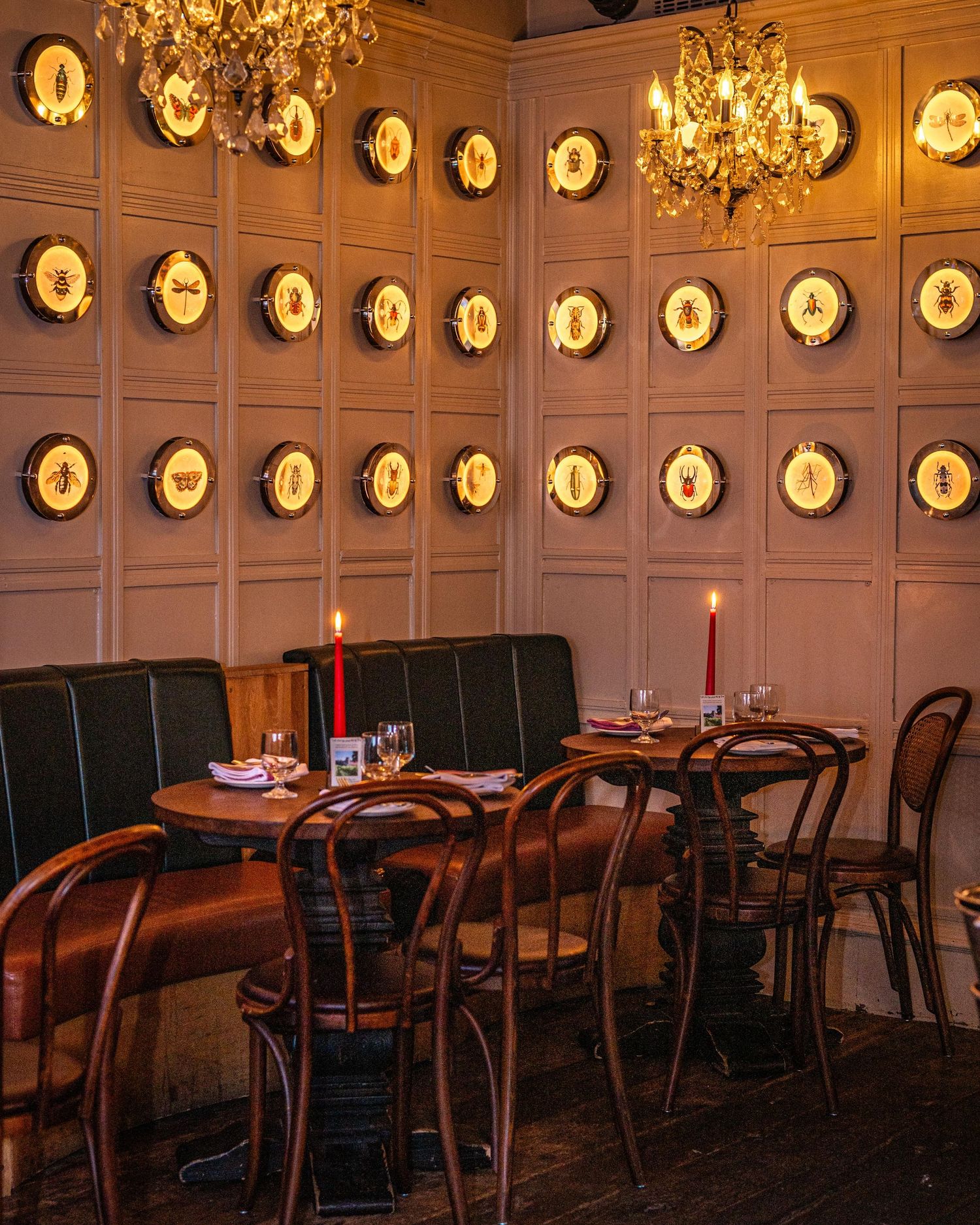 Elegant restaurant dining room with bentwood chairs, candlelit tables, ornate wall plates, and golden chandeliers.