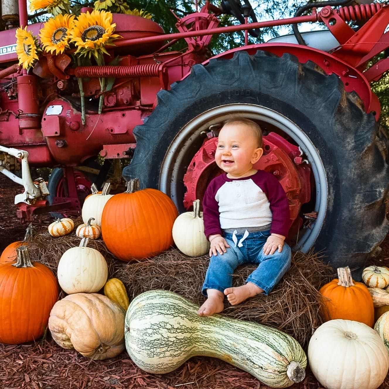 Colorful fall display with orange pumpkins and gourds arranged on hay bales.