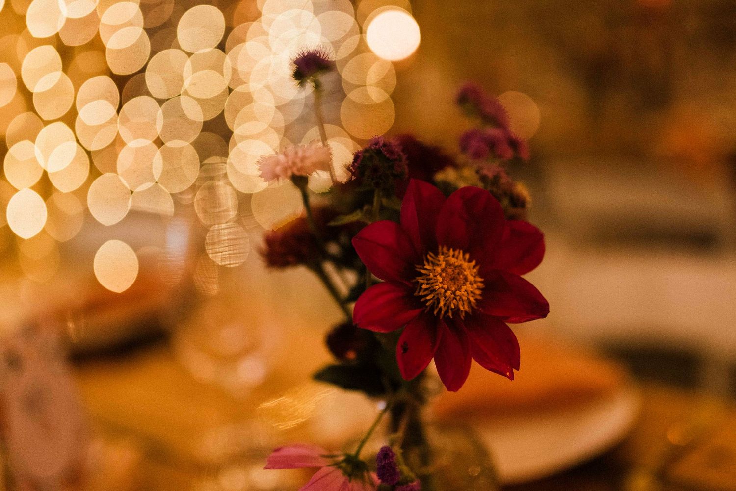 Wedding Photographer in Haenertsburg, Limpopo, Minas, Magoebaskloof, Elopement Photographer. Tzaneen, Wedding Venue Limpopo, Wedding Decor