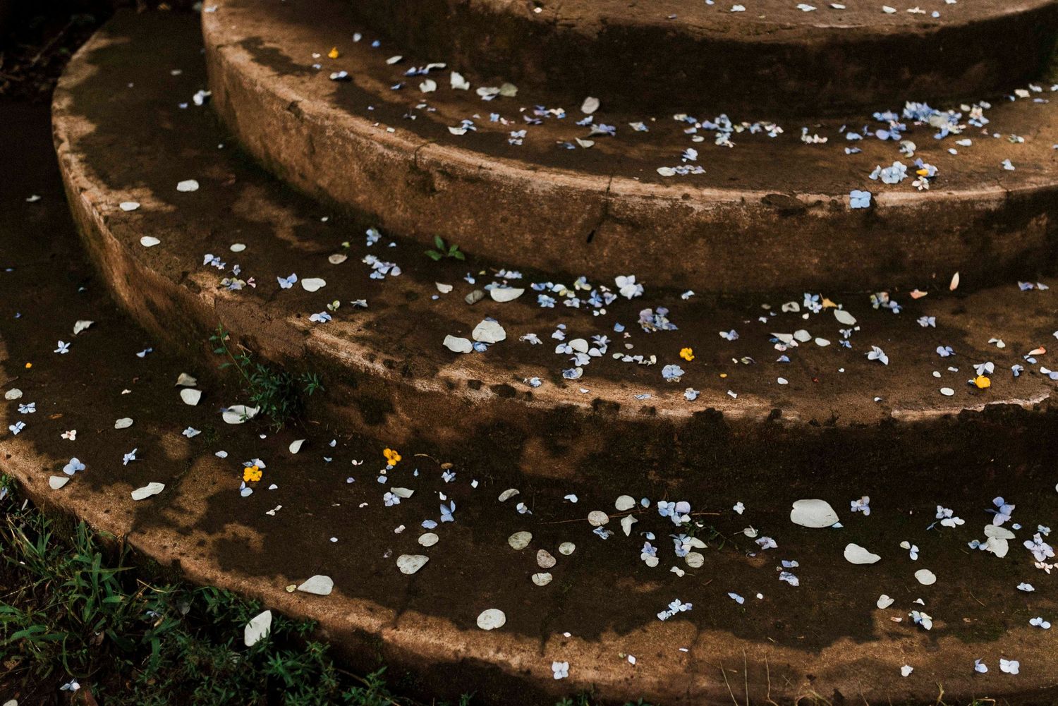 Elopement Photographer, Haenertsburg, Magoebaskloof, Minas, Limpopo, Wedding