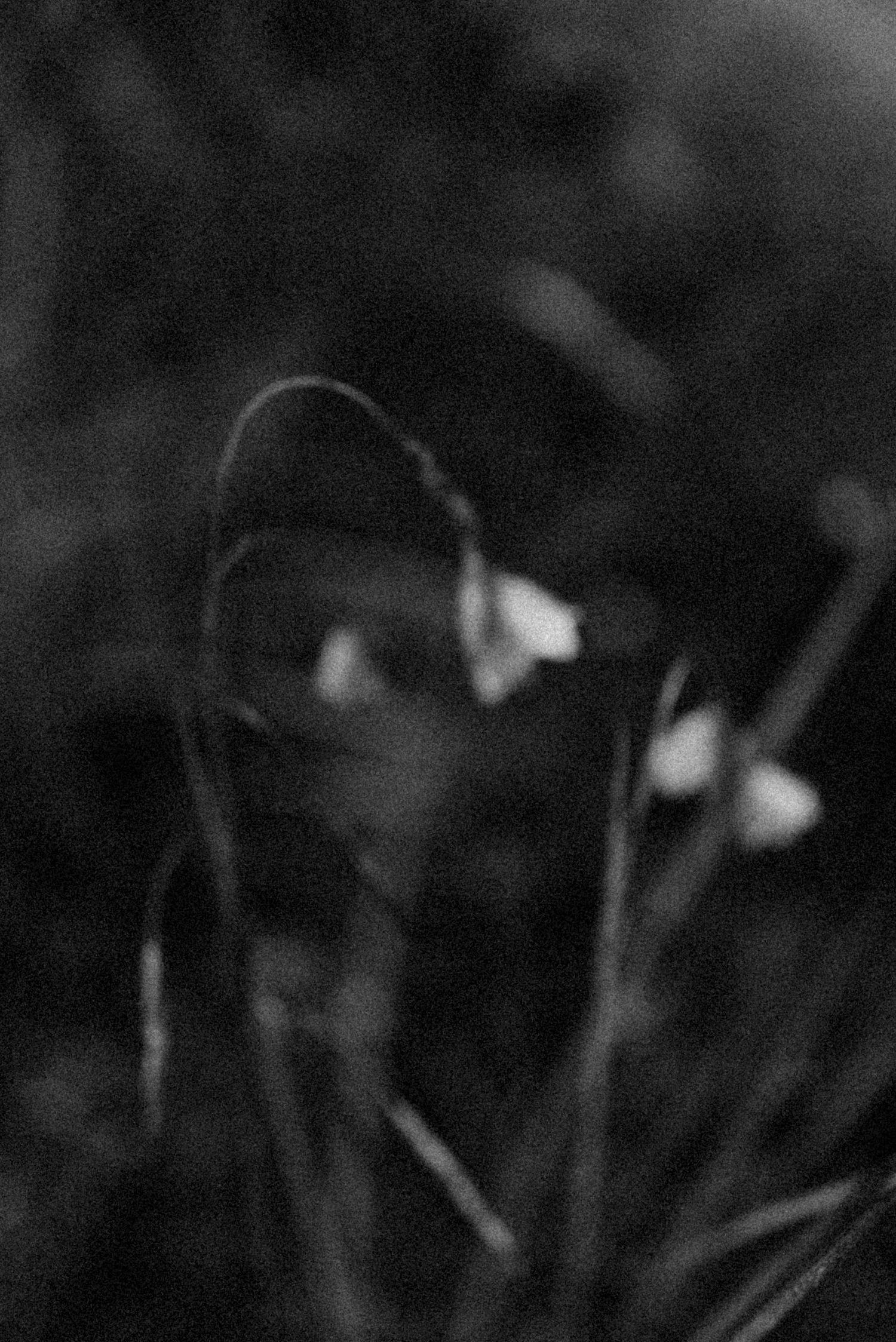 Local Haenertsburg Photographer, Haenertsburg, art, black and white, film, Sequoia Gardens, winter, things-to-do Magoebaskloof, Photographer