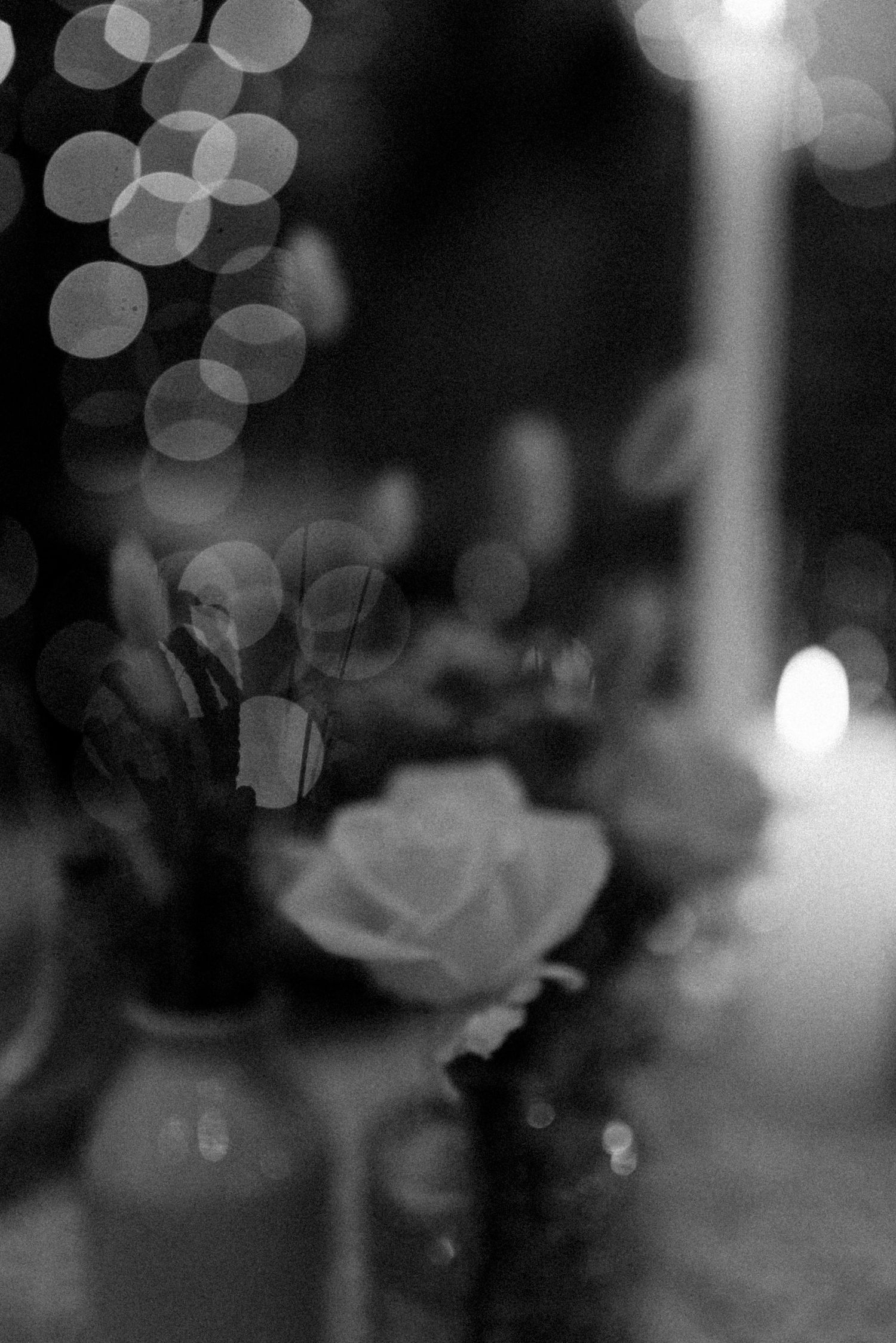 wedding photography Limpopo