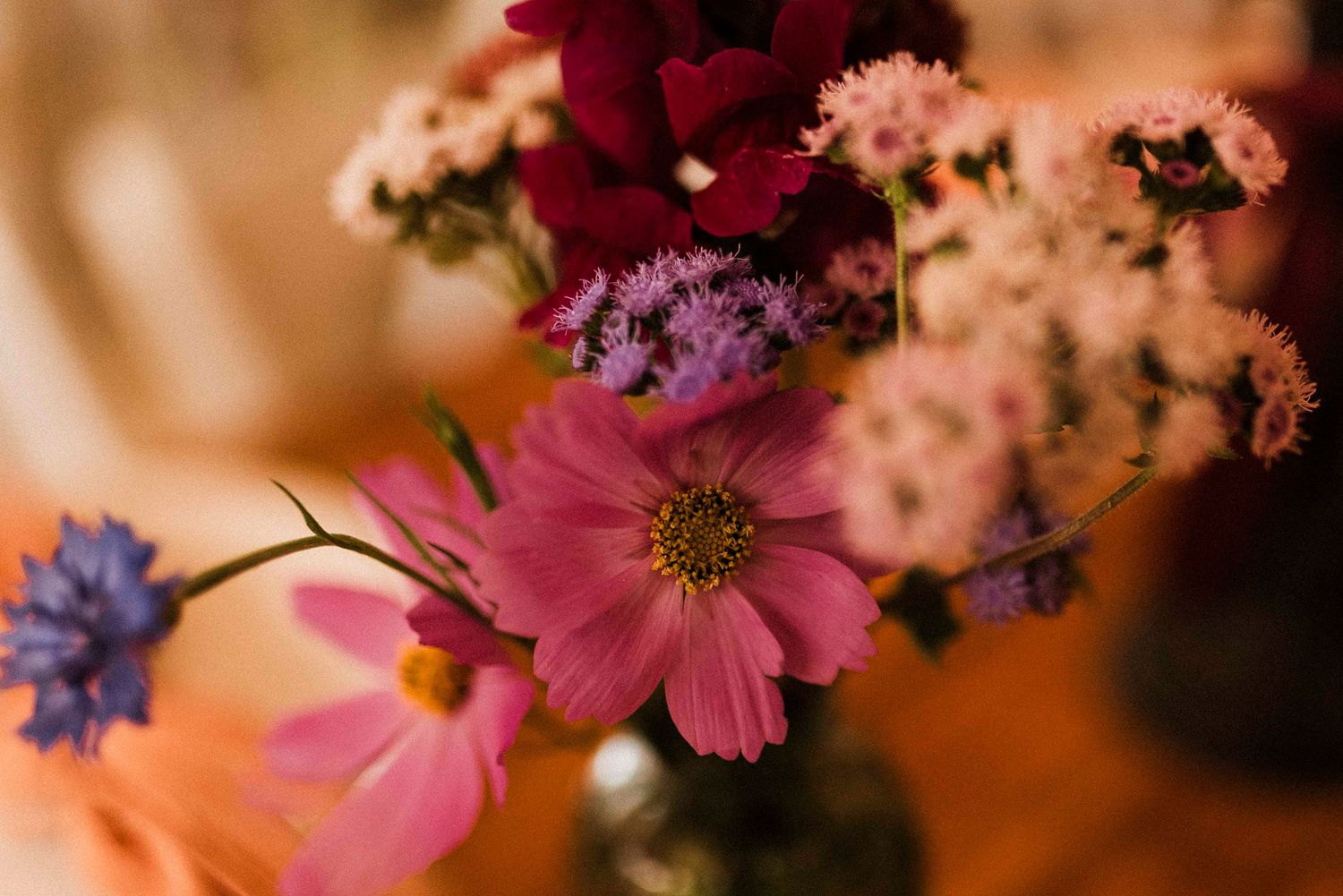 Elopement Photographer, Haenertsburg, Magoebaskloof, Minas, Limpopo, Wedding, bride, Zwakala, wildflowers