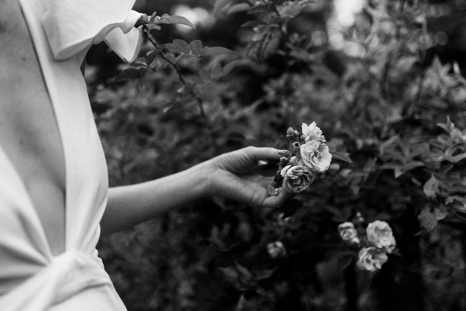 Wedding Photographer in Haenertsburg, Limpopo, Minas, Magoebaskloof, Elopement Photographer. Tzaneen, Wedding Venue Limpopo, Mina's